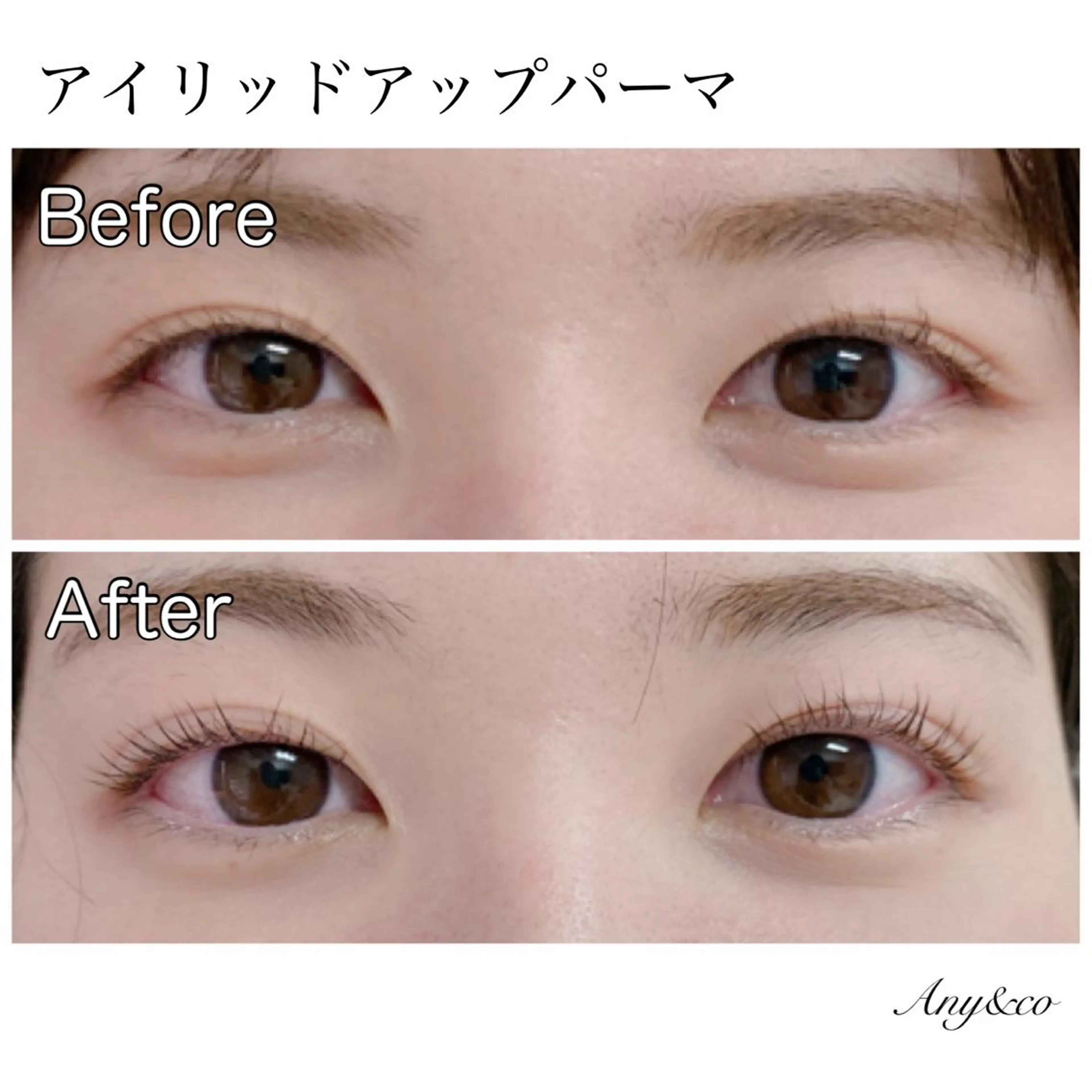 マツエク・マツパ アイリッドアップパーマ Any&co 【エニコ】のマツエク・マツパデザイン