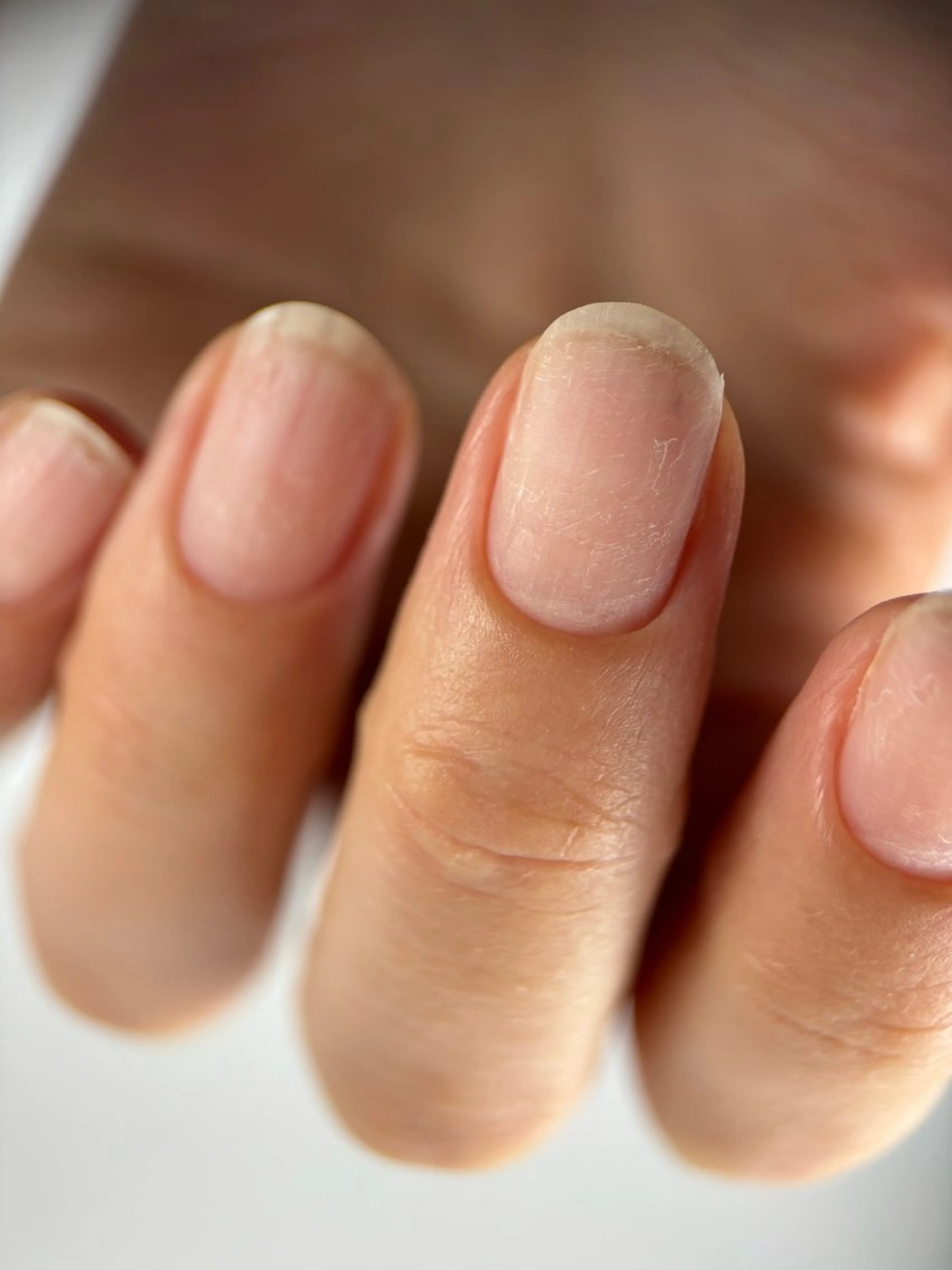 ロシアンマニキュアのみの写真