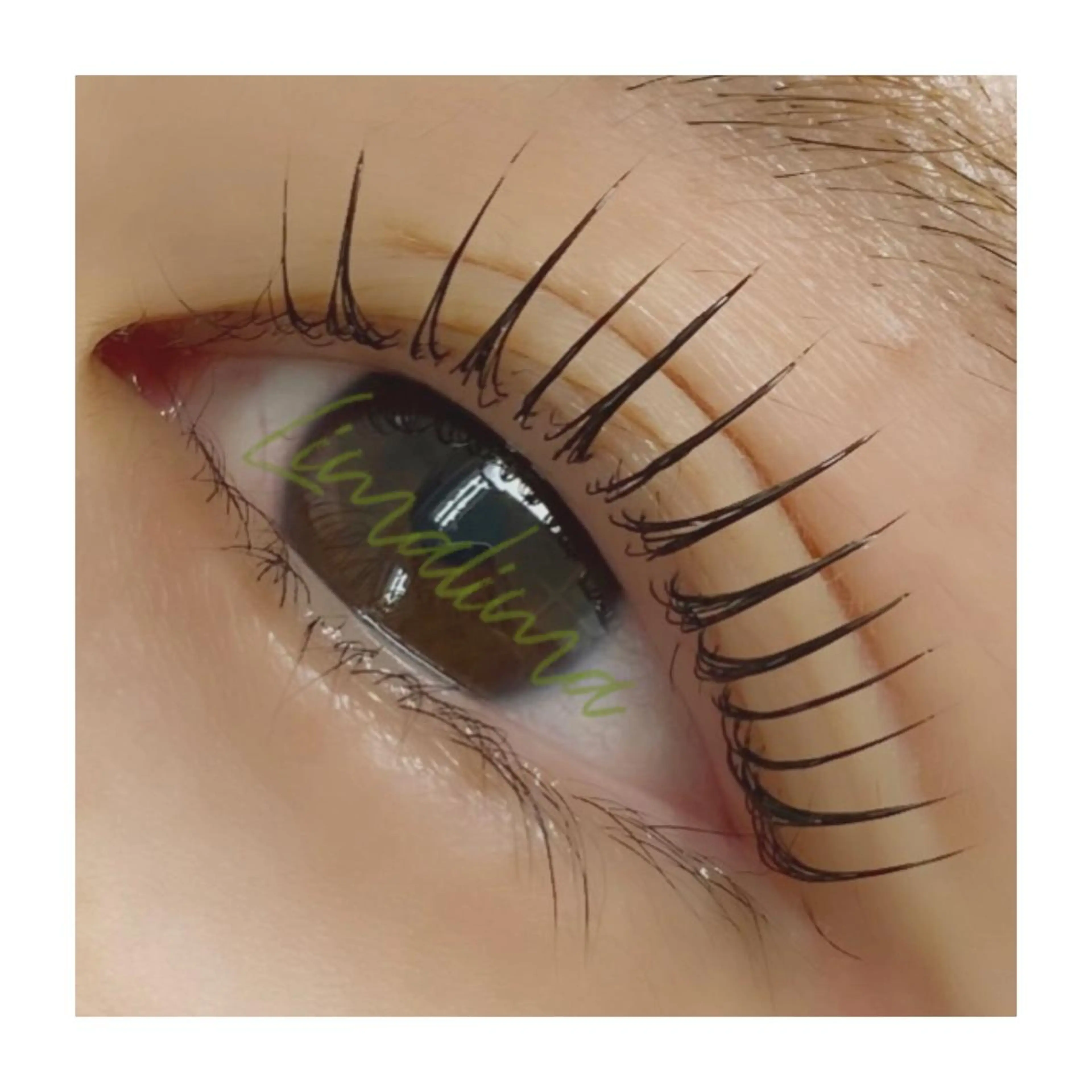 マツエク・マツパ Limalima所属・まつ毛と眉毛の専門店 Limalima🌿のマツエク・マツパデザイン