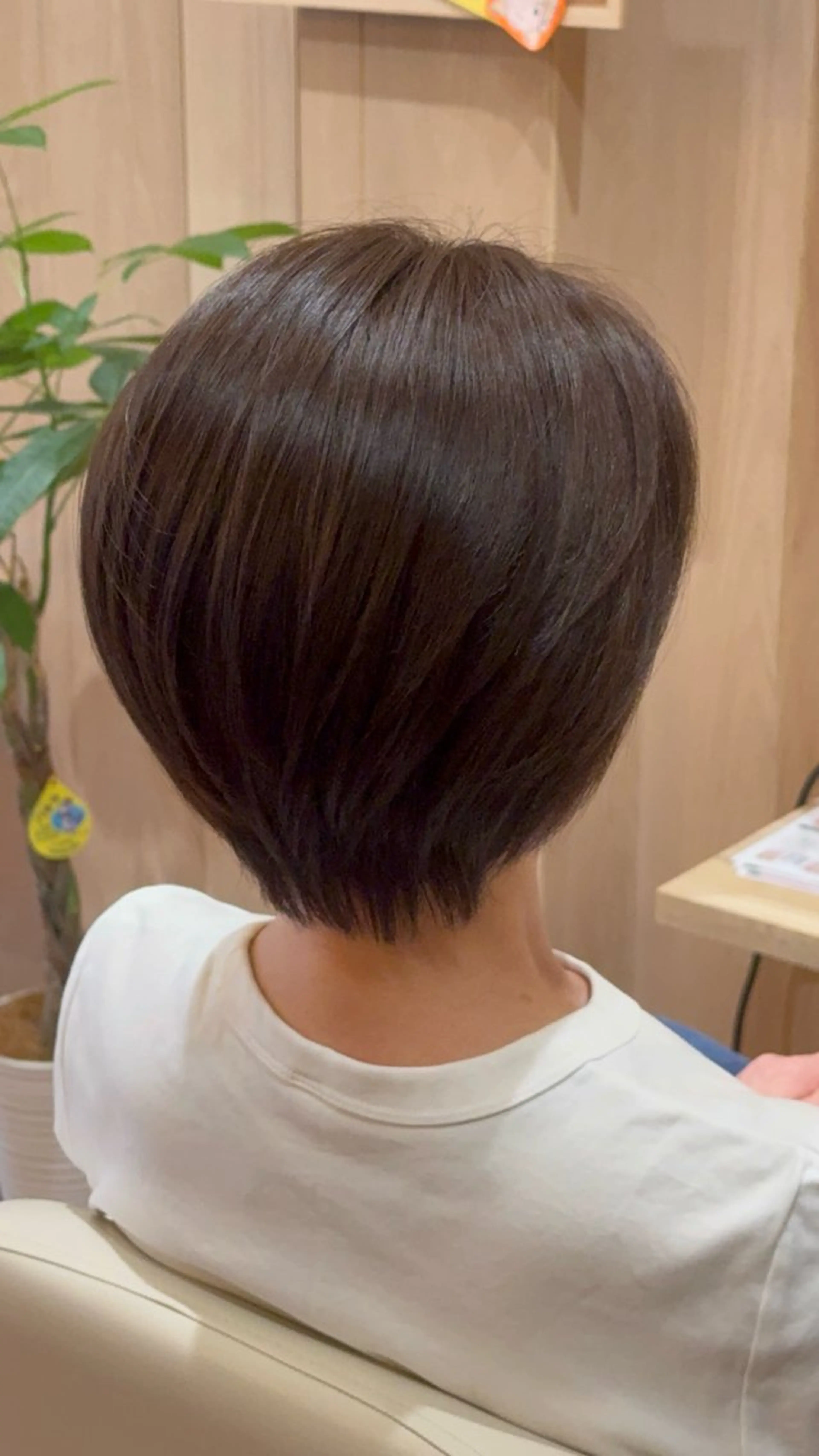 カラー ブラウンカラー ヘアカラー 艶カラー/縮毛矯正 /夏目 いくとのヘアスタイル