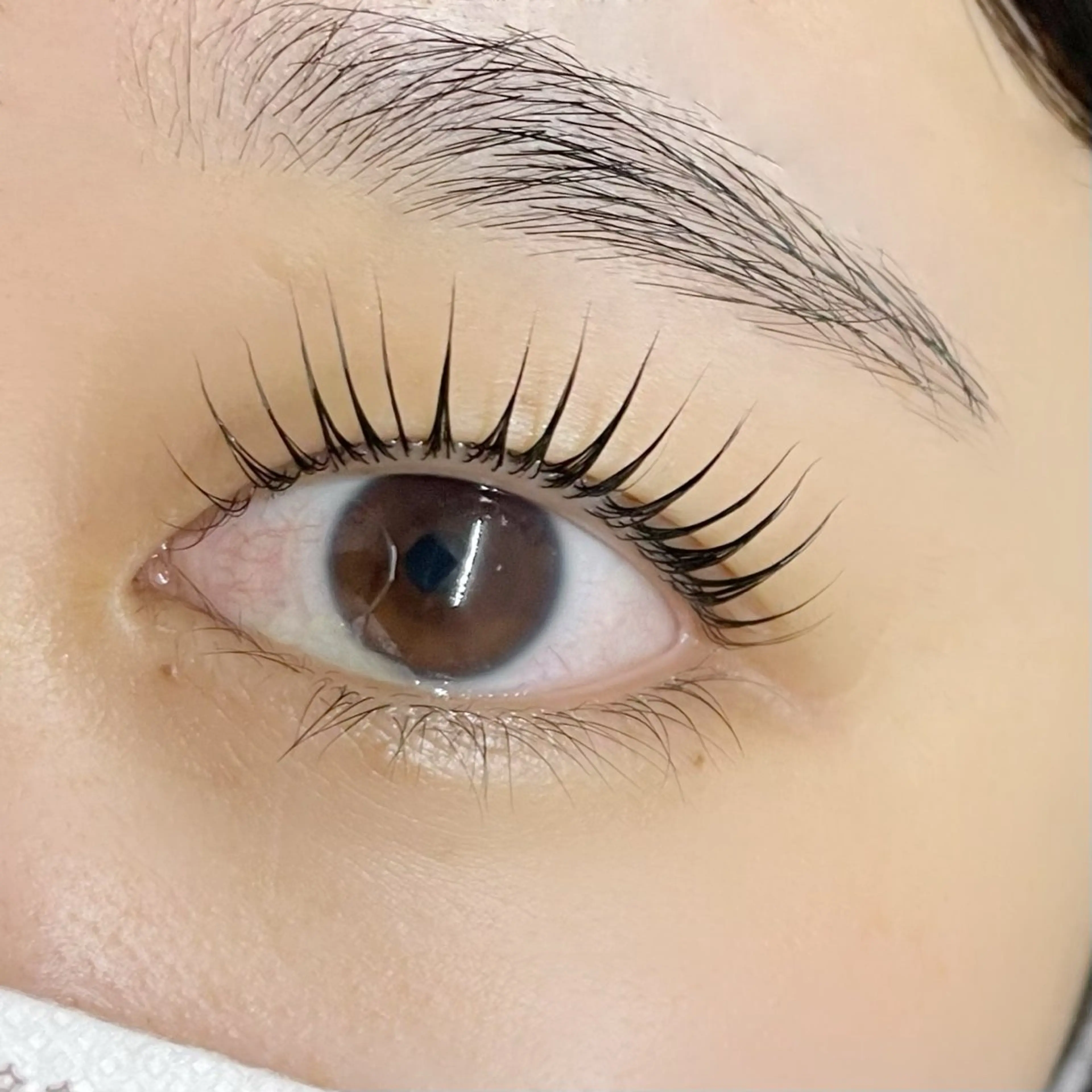 【平日ご新規様限定】極める漆黒まつげ・ブラックティントパーマの写真