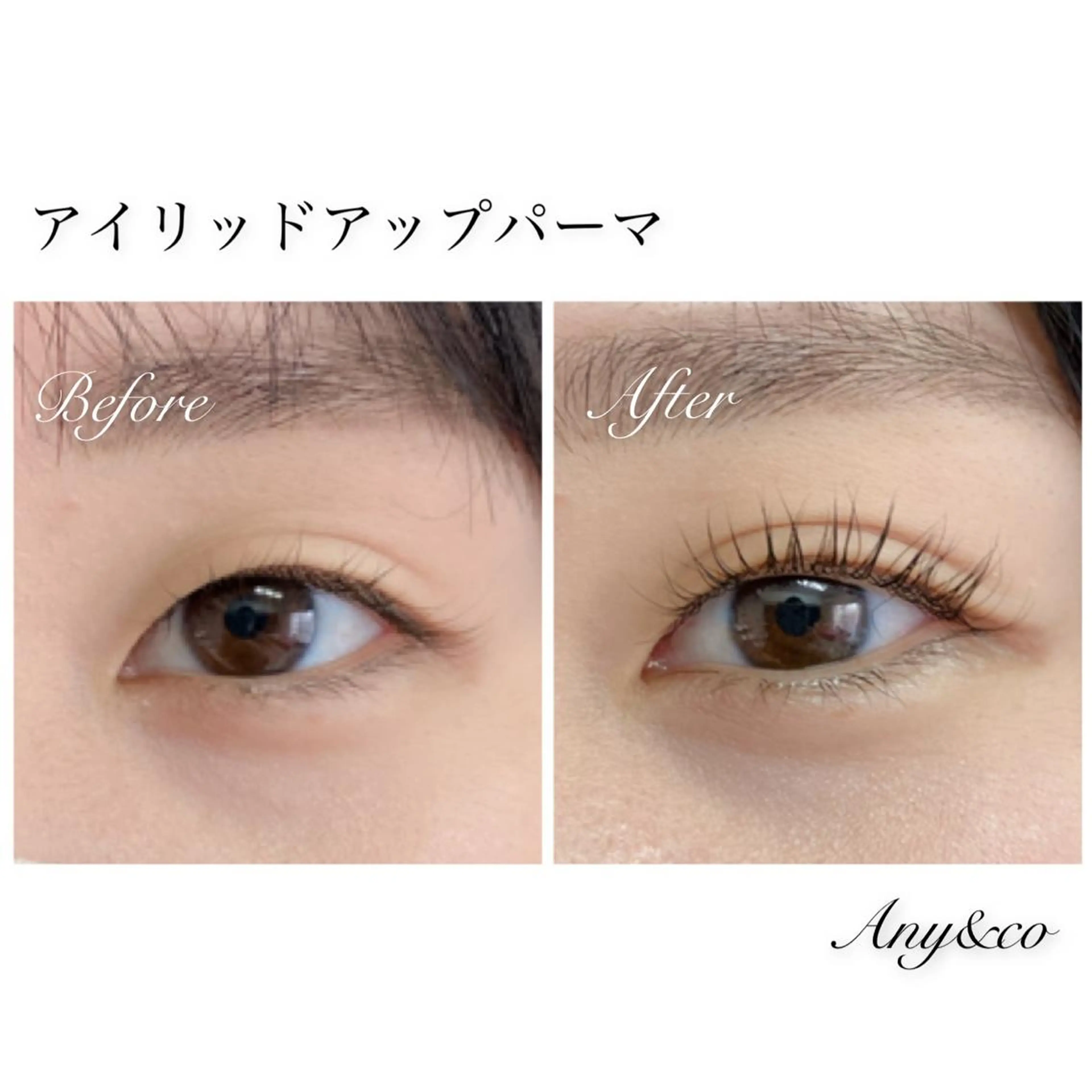 マツエク・マツパ アイリッドアップパーマ Any&co 【エニコ】のマツエク・マツパデザイン