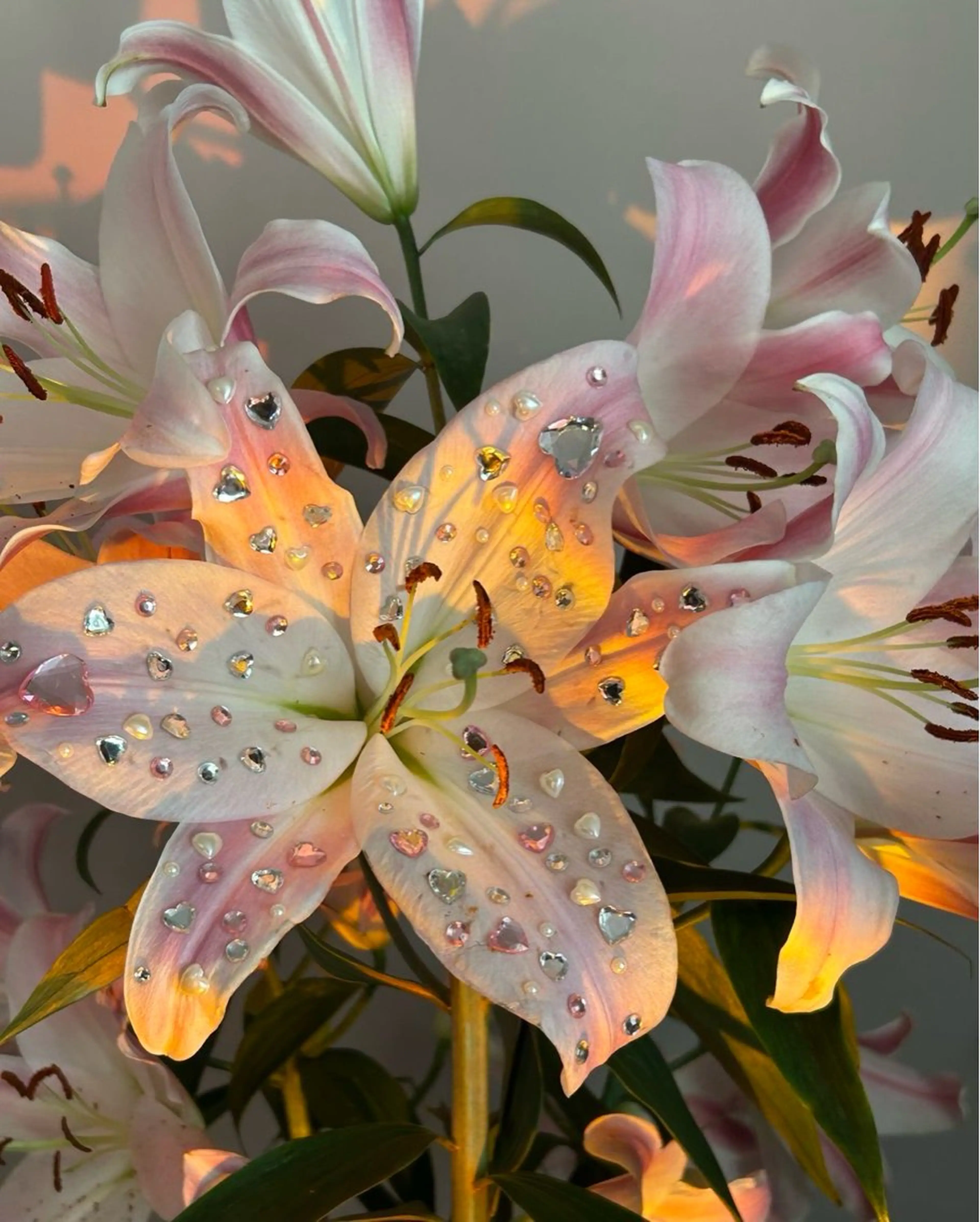 セミロング ヘアカラー 𖥔 ݁ ˖✿₊˚⊹ ソウ🌻のヘアスタイル