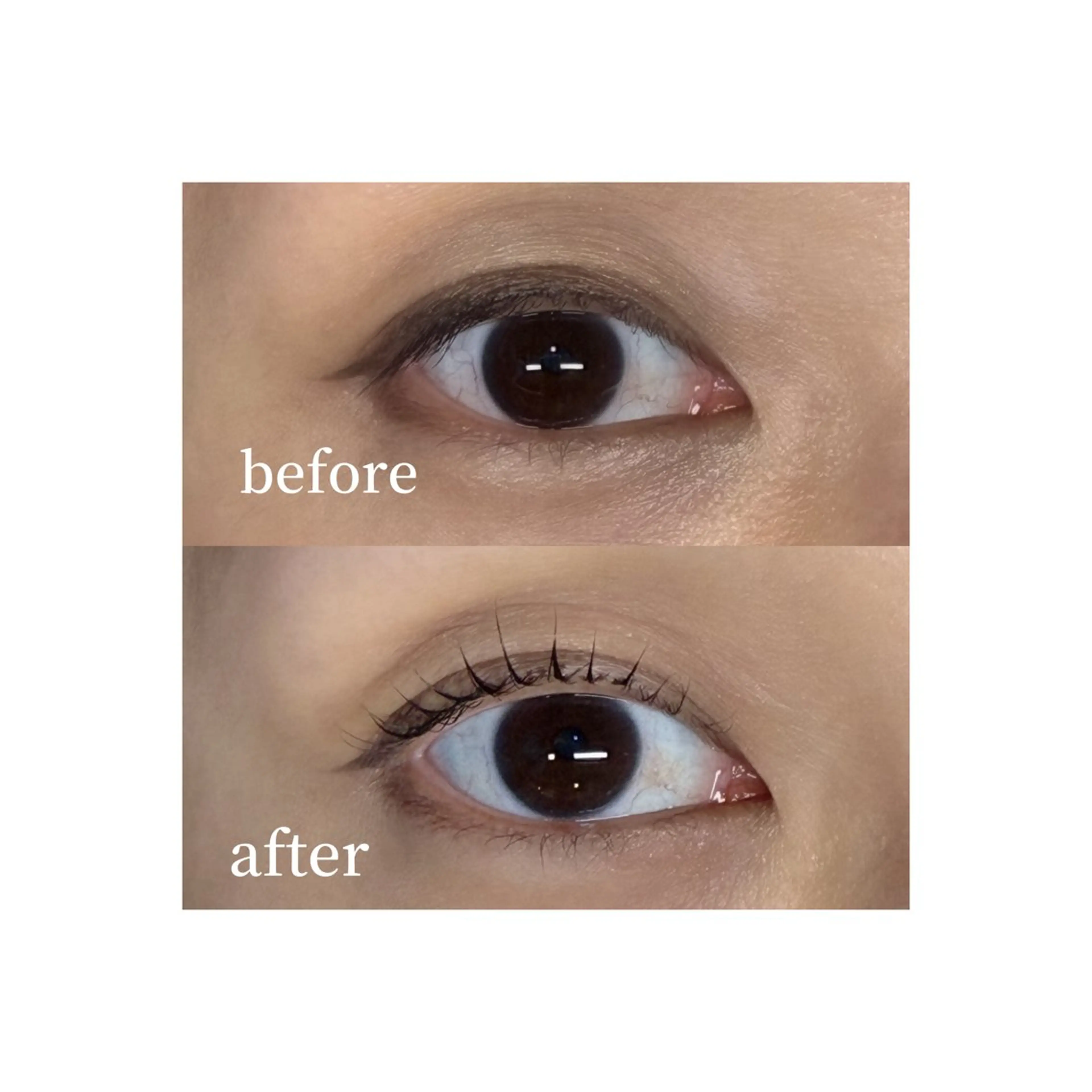 マツエク・マツパ マツパ U too e's MANAE🌼の眉毛・アイブロウイメージ