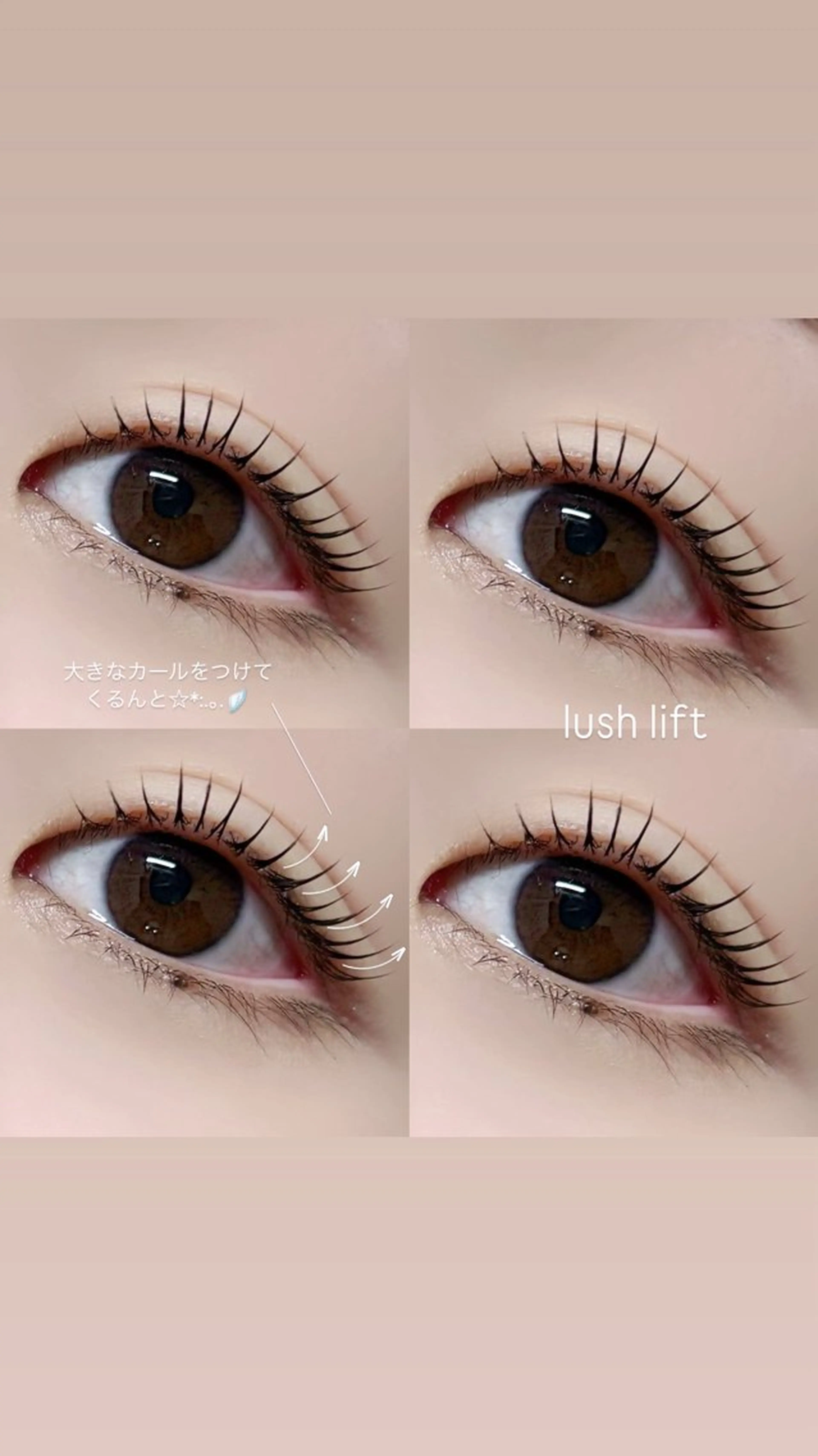 🐦‍⬛マスカラパーマ「ブラックティント×上まつ毛パーマ🐦‍⬛【¥7,150→ミニモ限定¥5,050✨】の写真