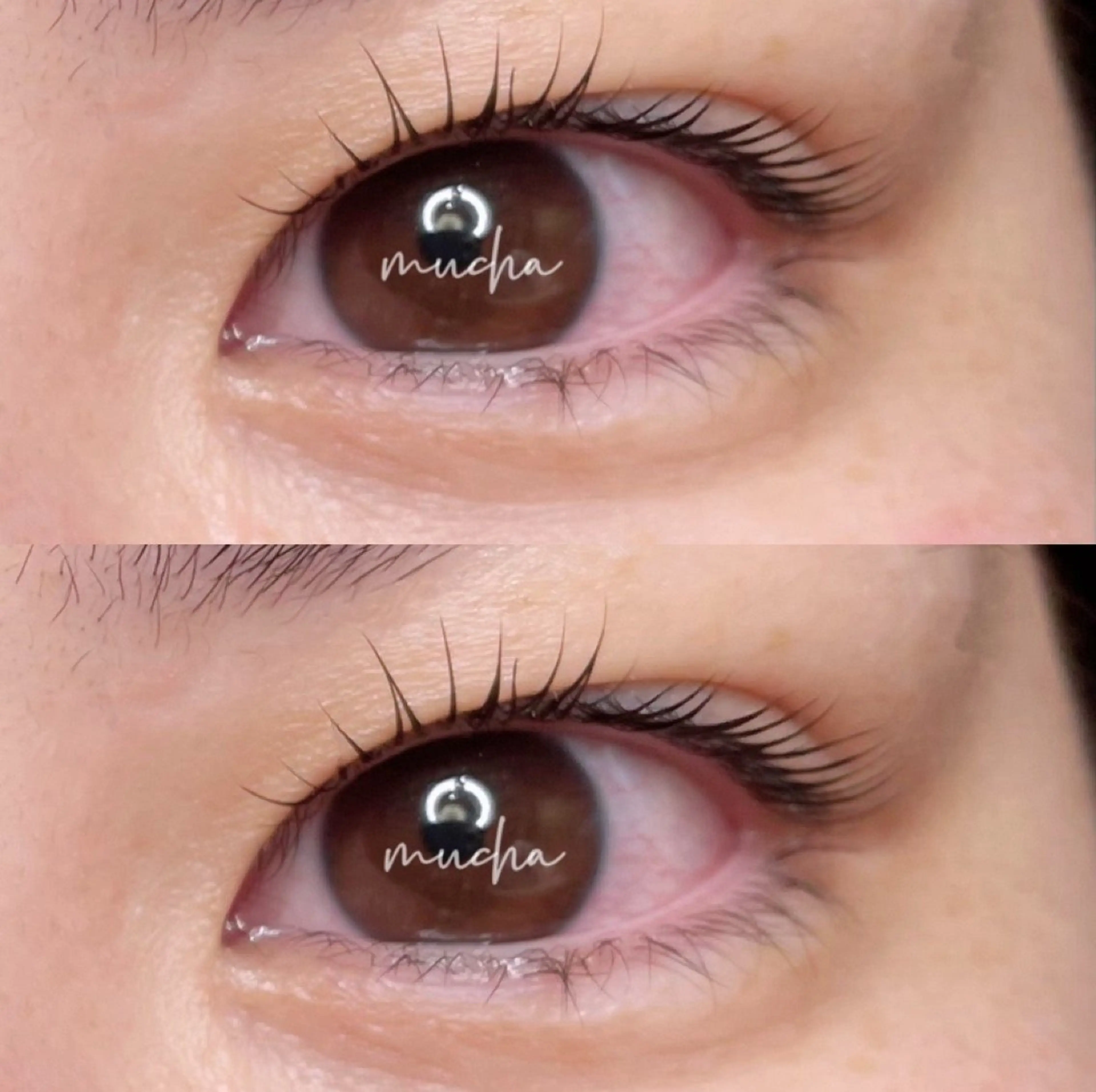 マツエク・マツパ eyelash muchaのマツエク・マツパデザイン
