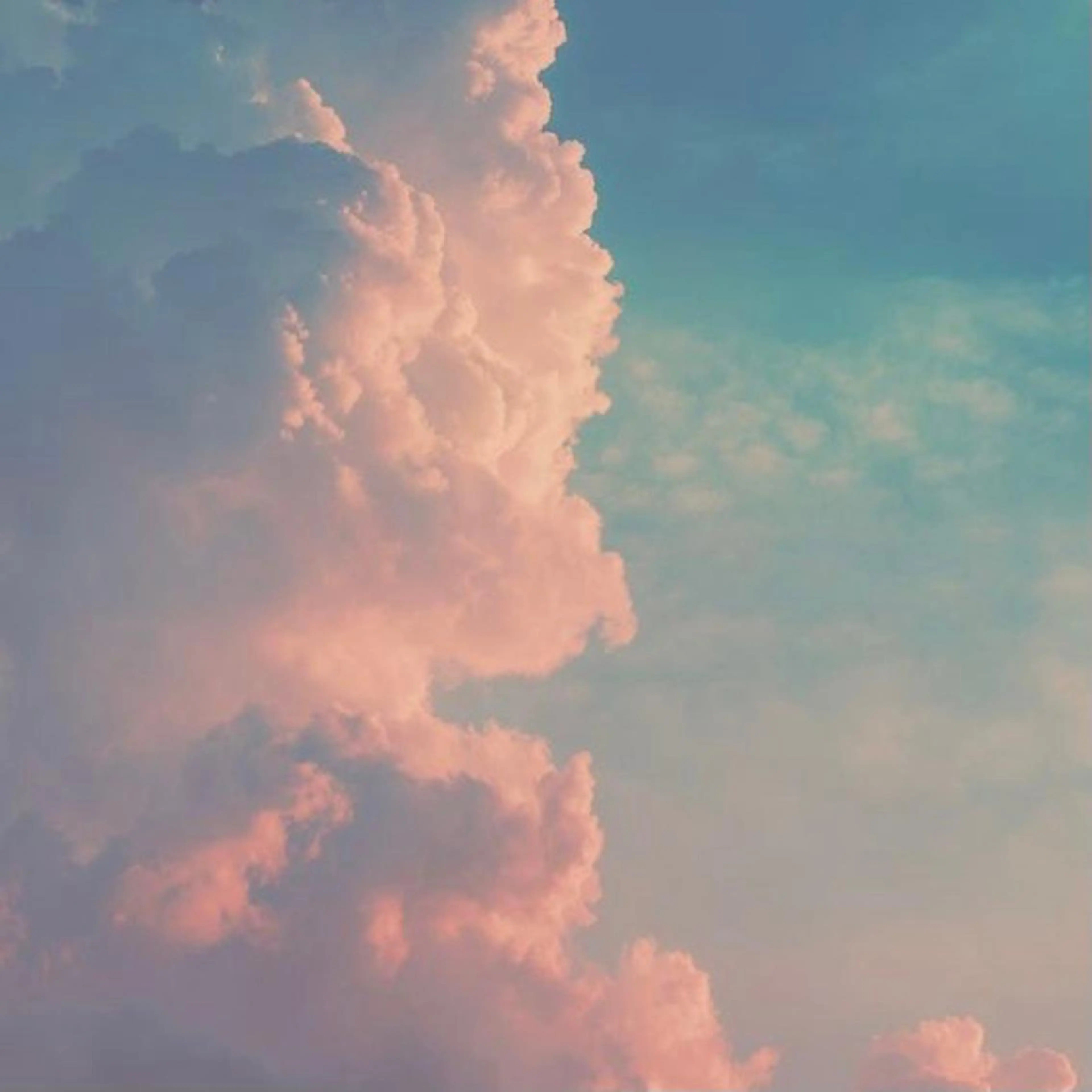 ∴Sanae. ∴ トータルビューティーのネイルデザイン