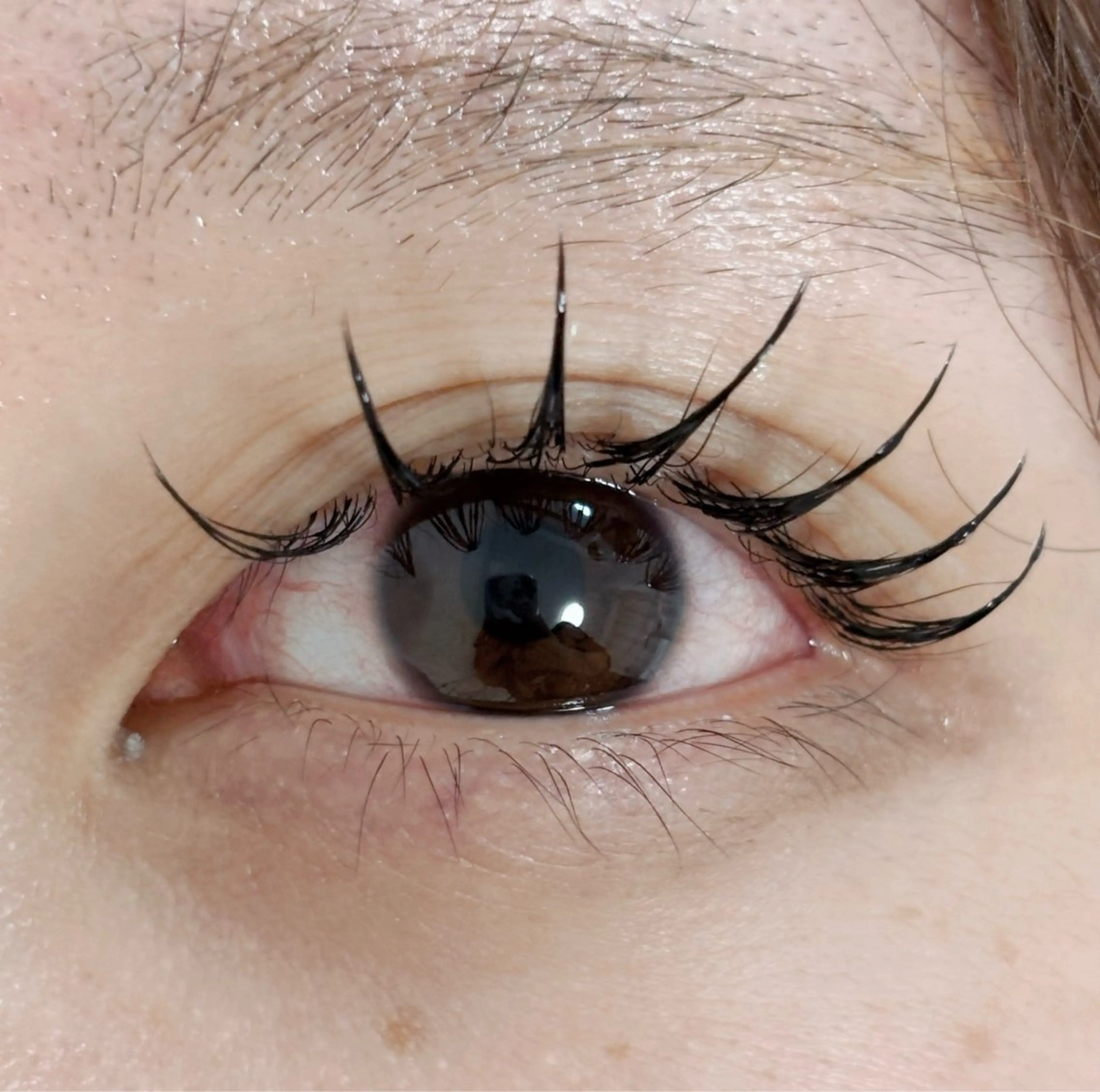 マツエク・マツパ マツエク あや🥑 チルザルトサロンのマツエク・マツパデザイン