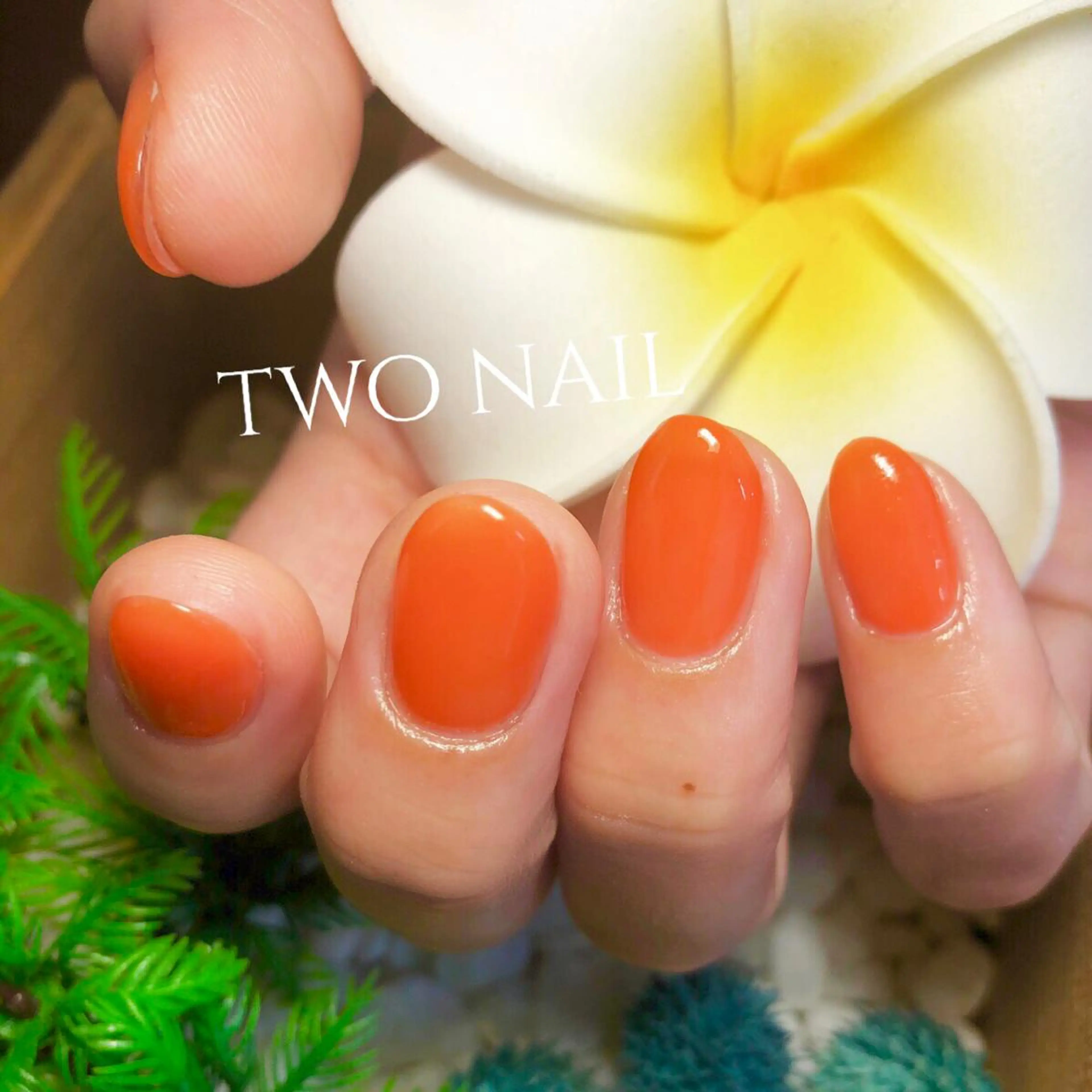 ネイル ワンカラーネイル two nailのネイルデザイン