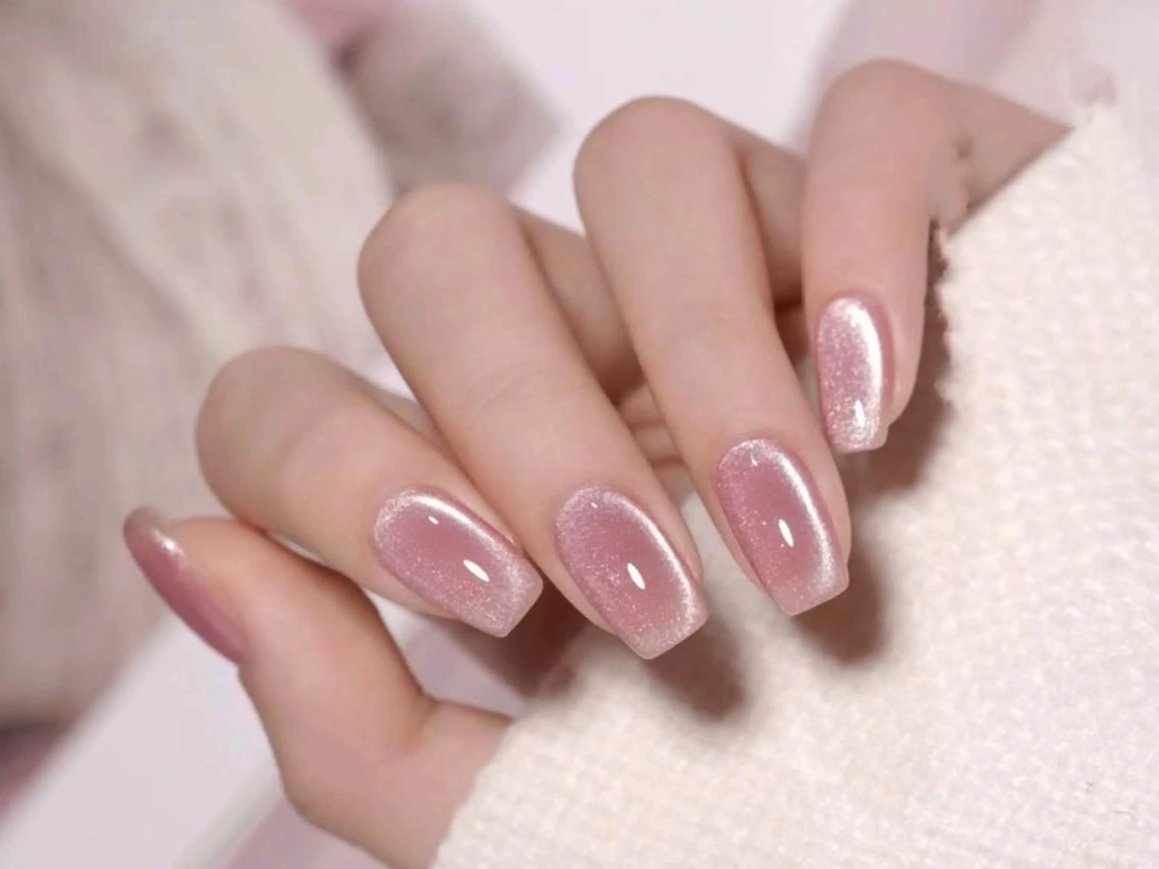 マグネットの写真