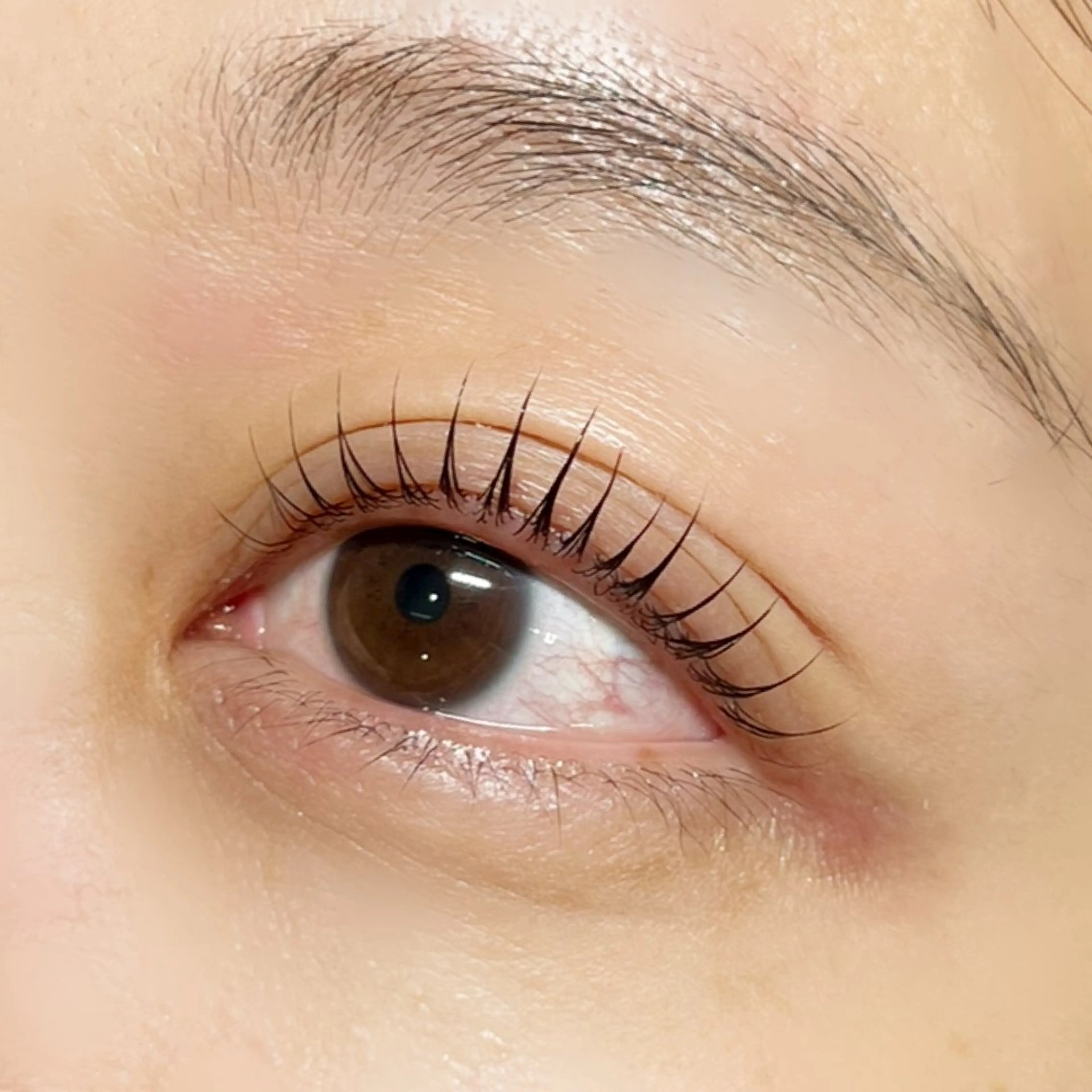 マツエク・マツパ Labelta .のマツエク・マツパデザイン