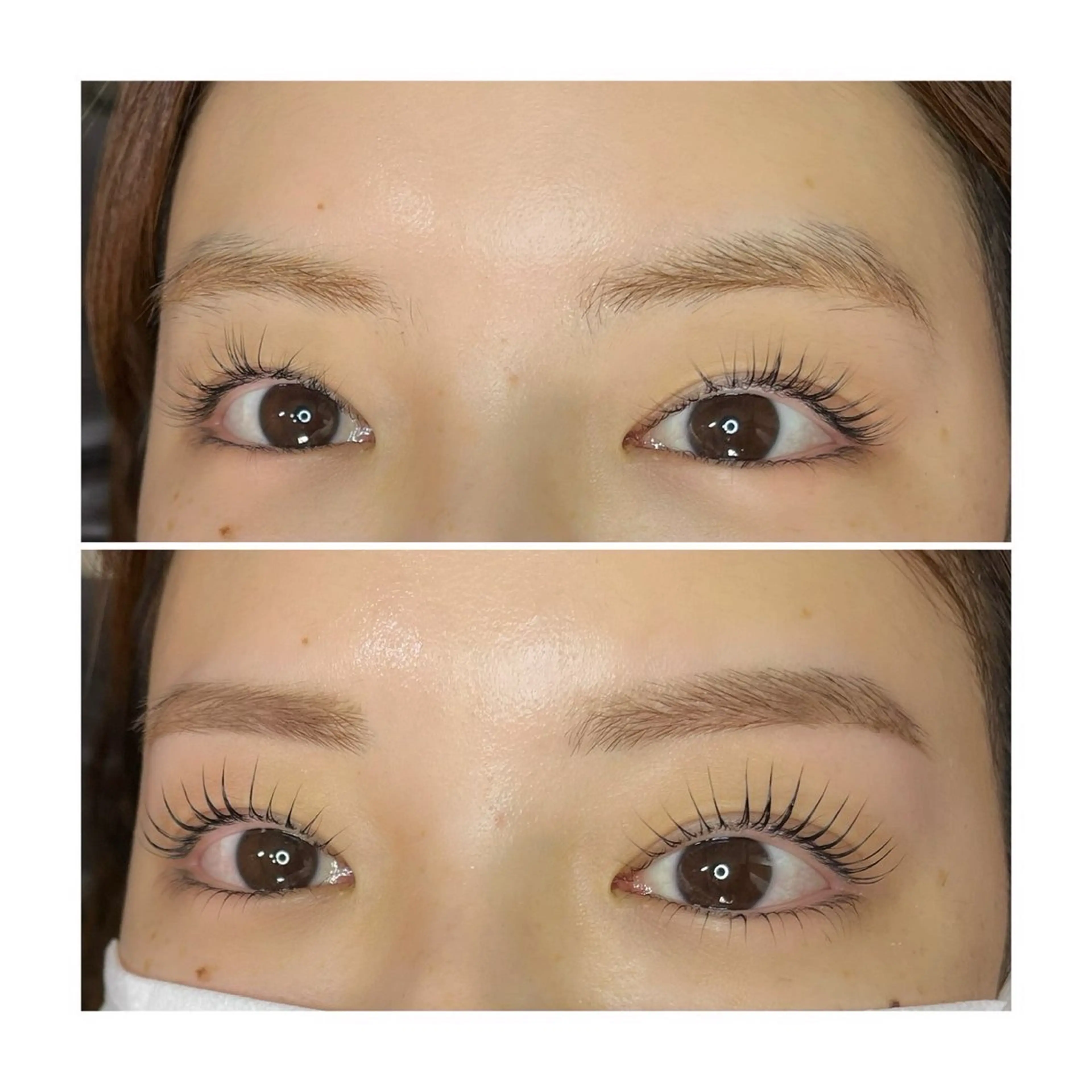 🌟眉ワックス&上下まつ毛パーマ👁14,800⏩3,000の写真
