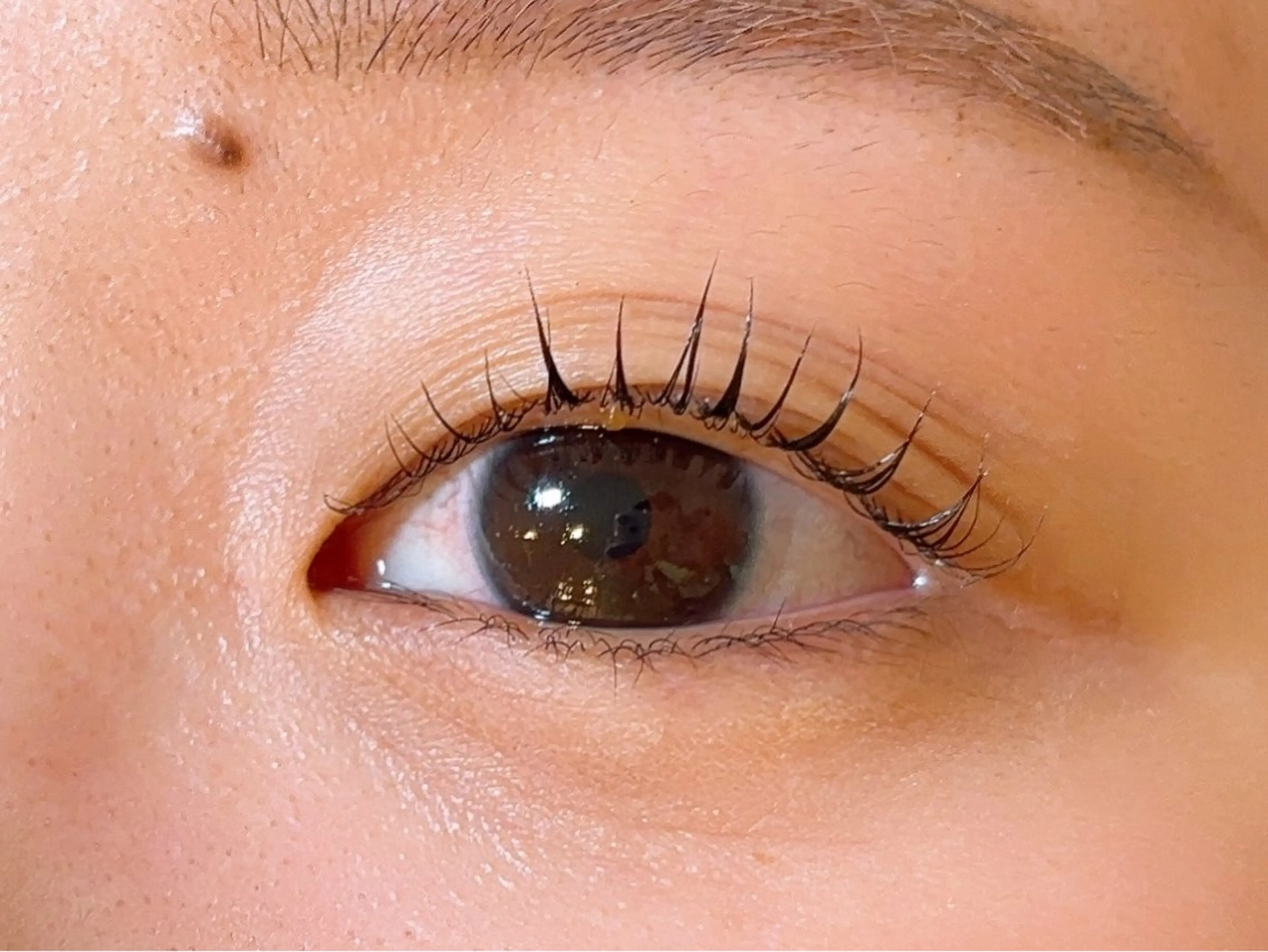 マツエク・マツパ マツパ Honey&Miel 🐣🤍AiRiのマツエク・マツパデザイン