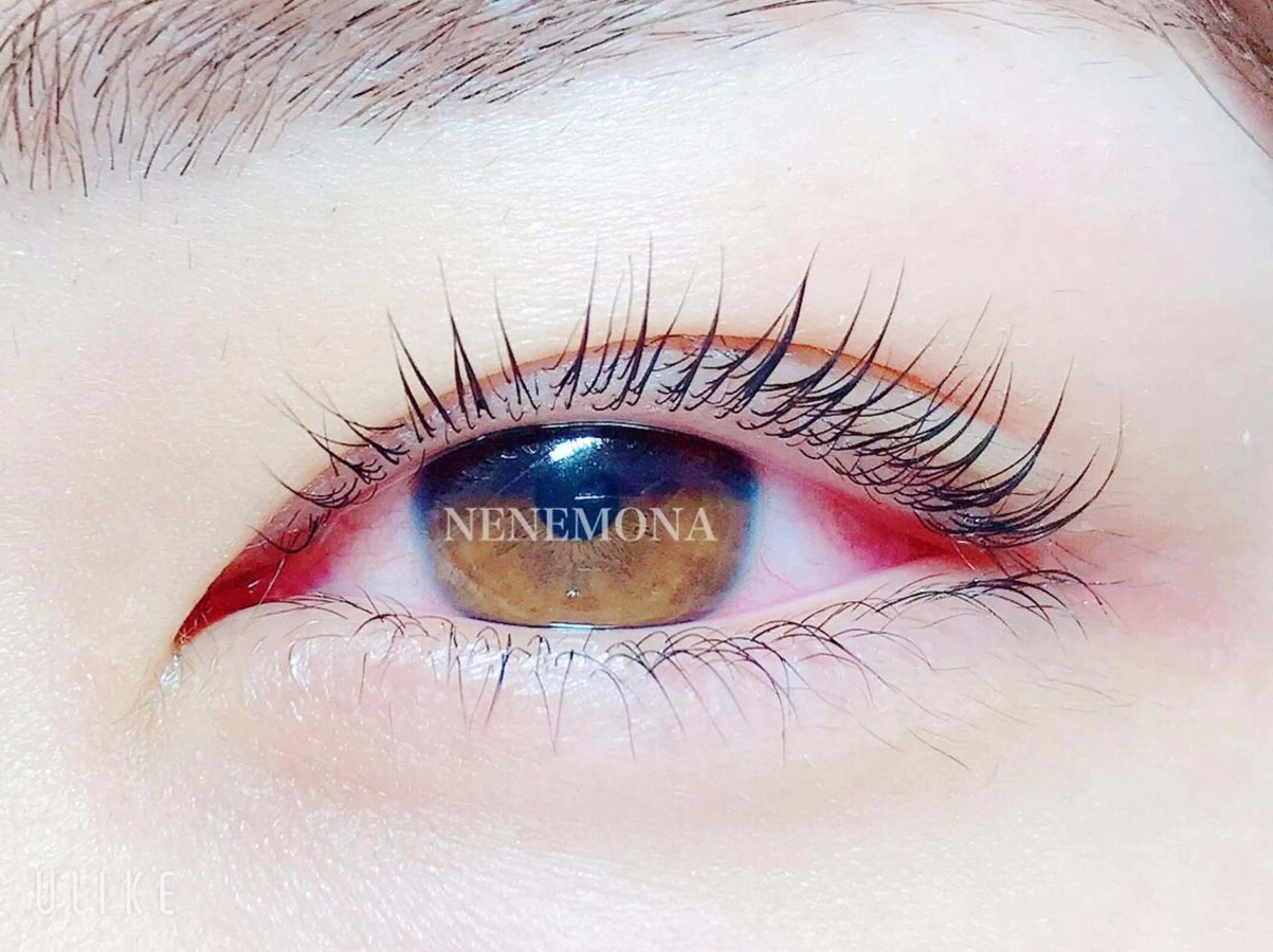 来店3回目迄特別価格♡逆まつげでお悩みの方にオススメ‼️下まつ毛パーマ✨マスカラも塗りやすく目力UP💖¥4000の写真