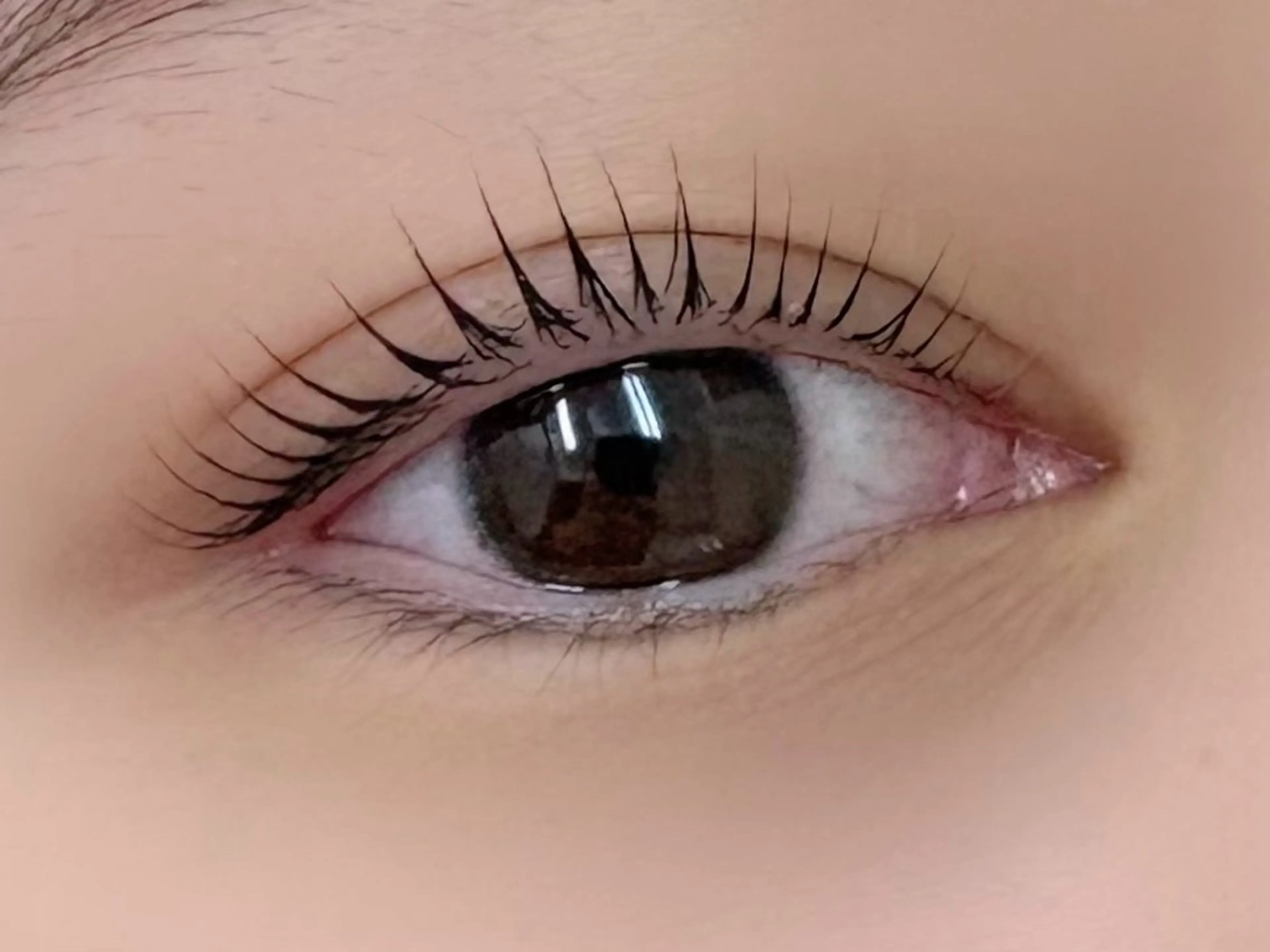 マツエク・マツパ 一重×まつ毛パーマ マツパ alice tokyo上村★のマツエク・マツパデザイン