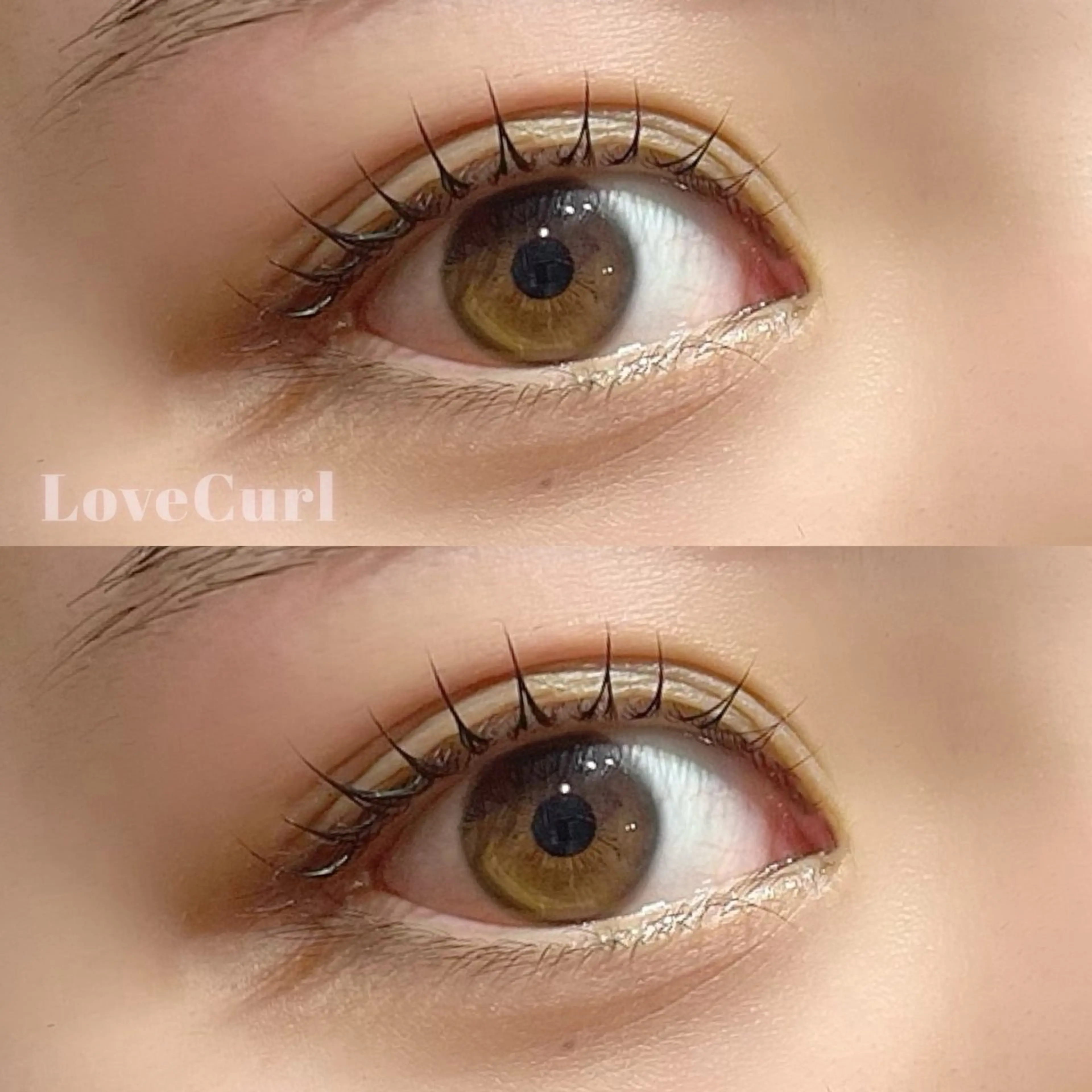 パリジェンヌ上のみ👑✨の写真