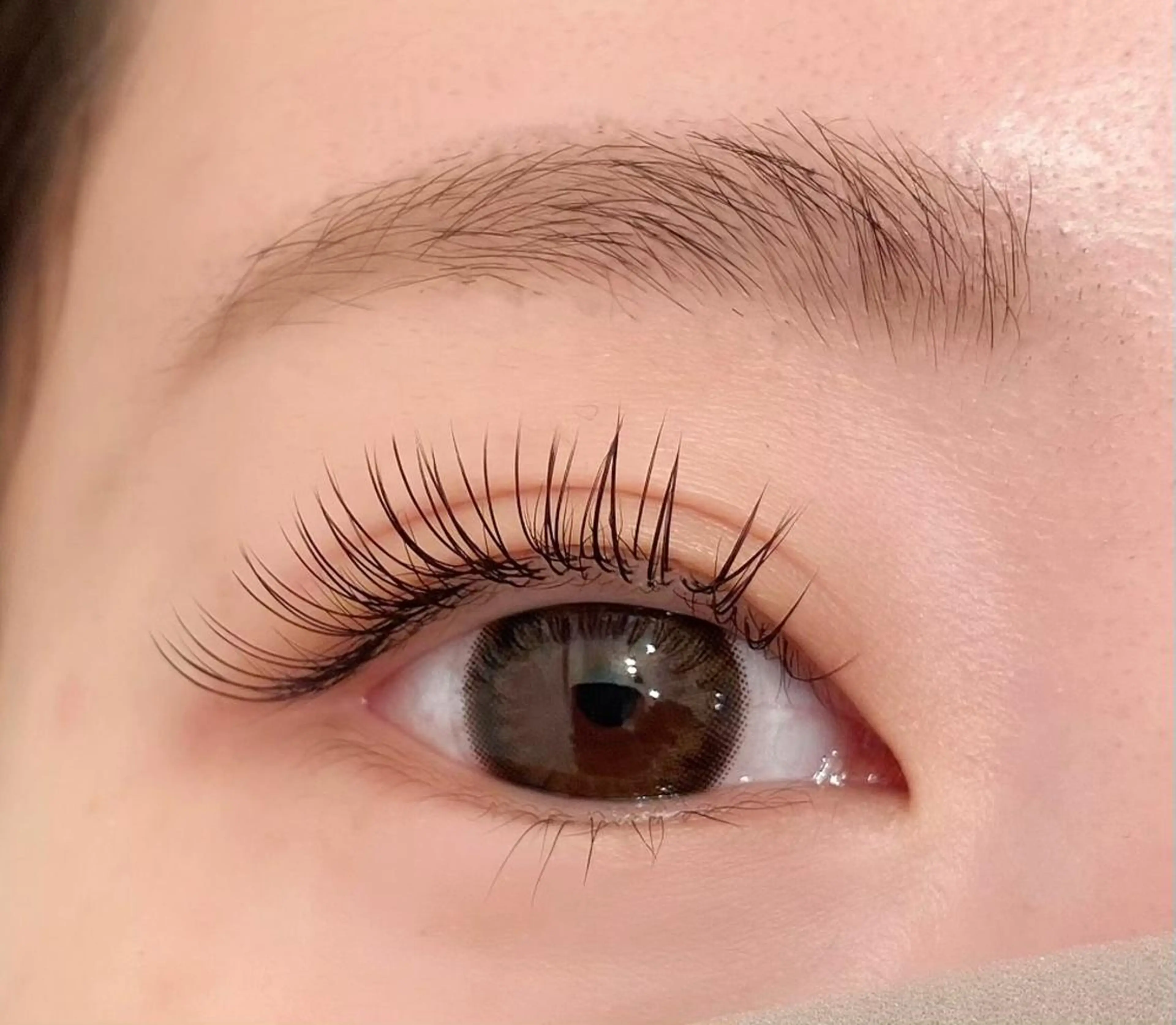 【ご新規限定】セーブルシングル100本 ＋美容コーティング⭐️［フラットラッシュ＋1100円］の写真