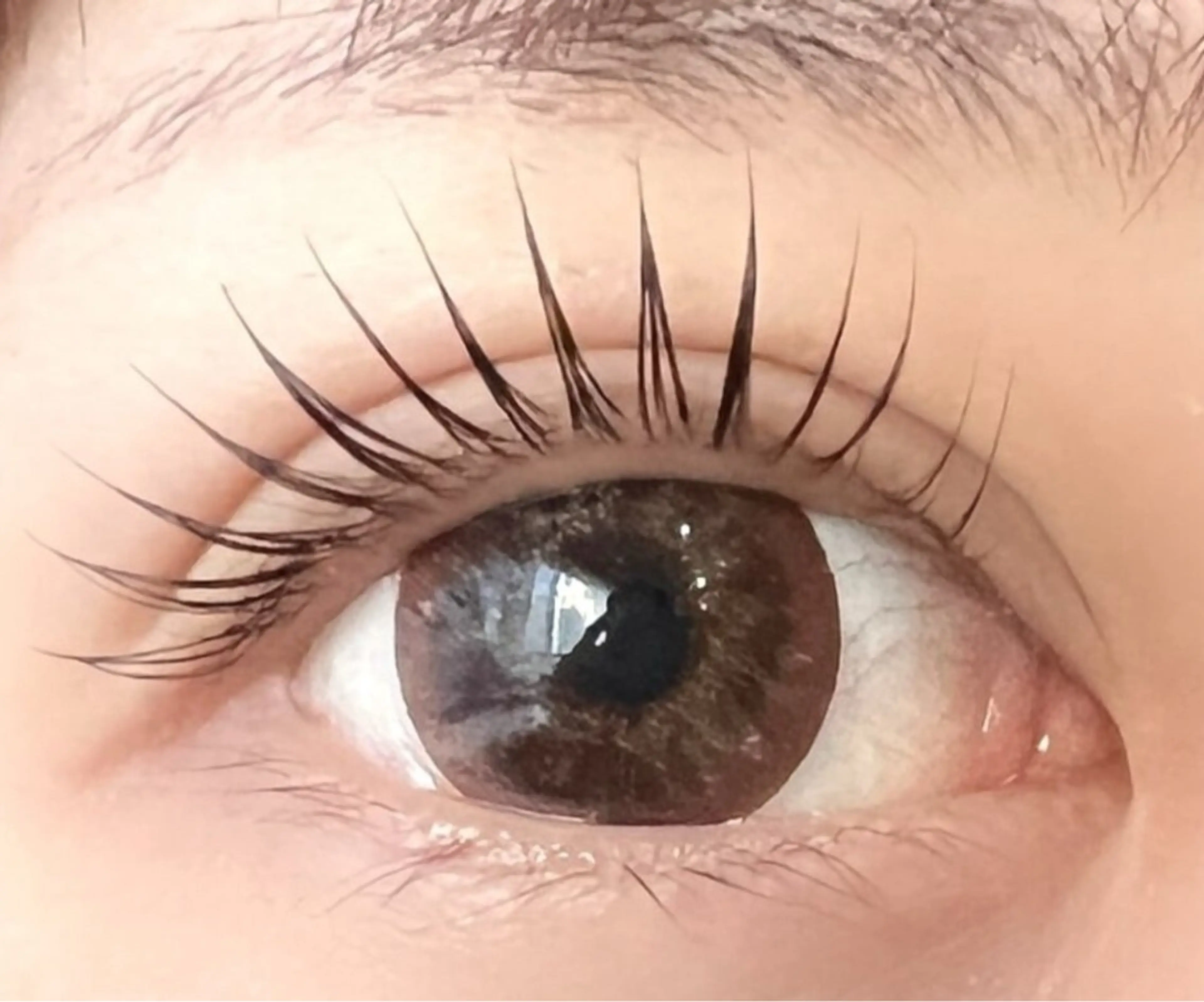 マツエク・マツパ Roy所属・🫧Roy心斎橋/ さだひさ🫧のマツエク・マツパデザイン