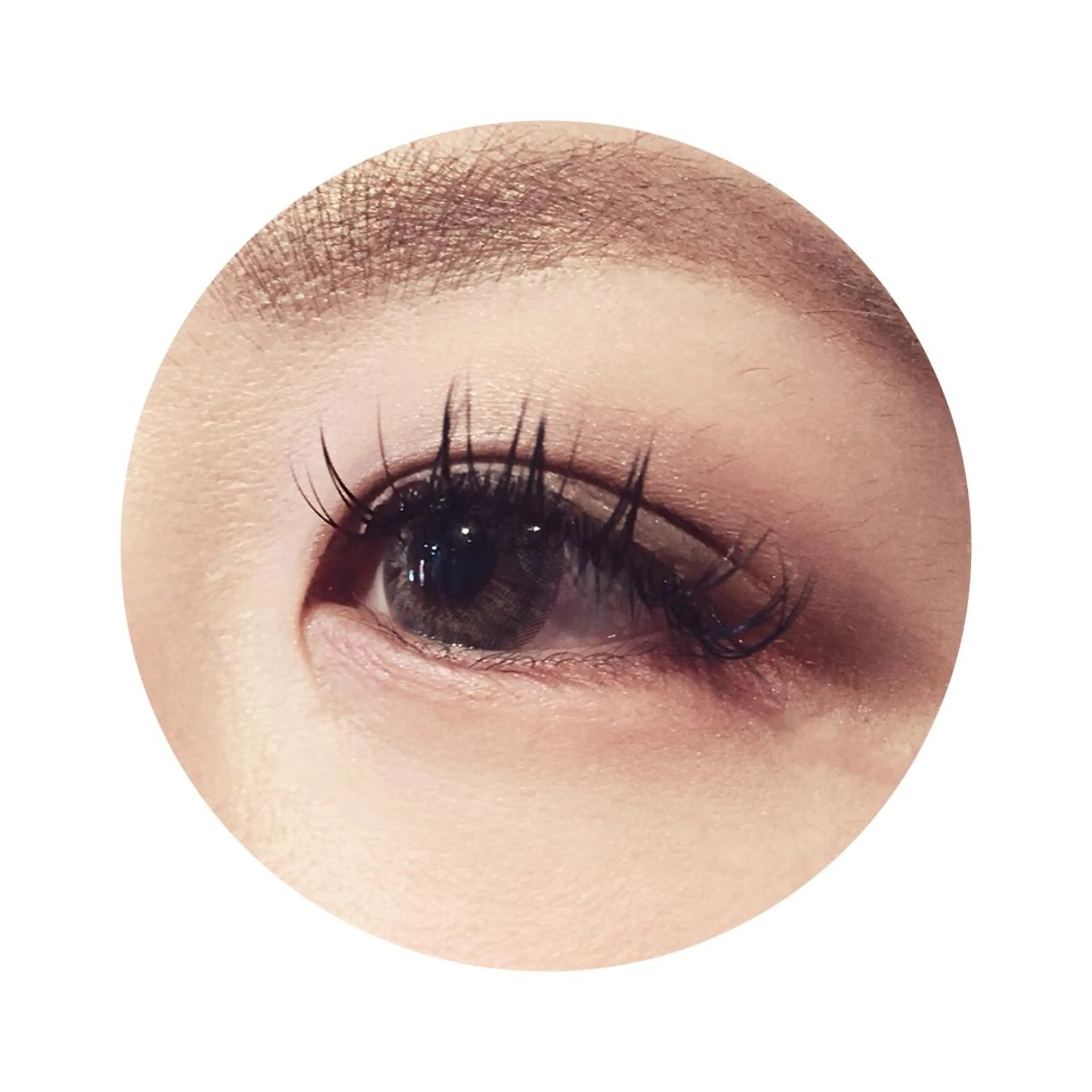 マツエク・マツパ Dカール セーブル Ai Quick 増田の眉毛・アイブロウイメージ