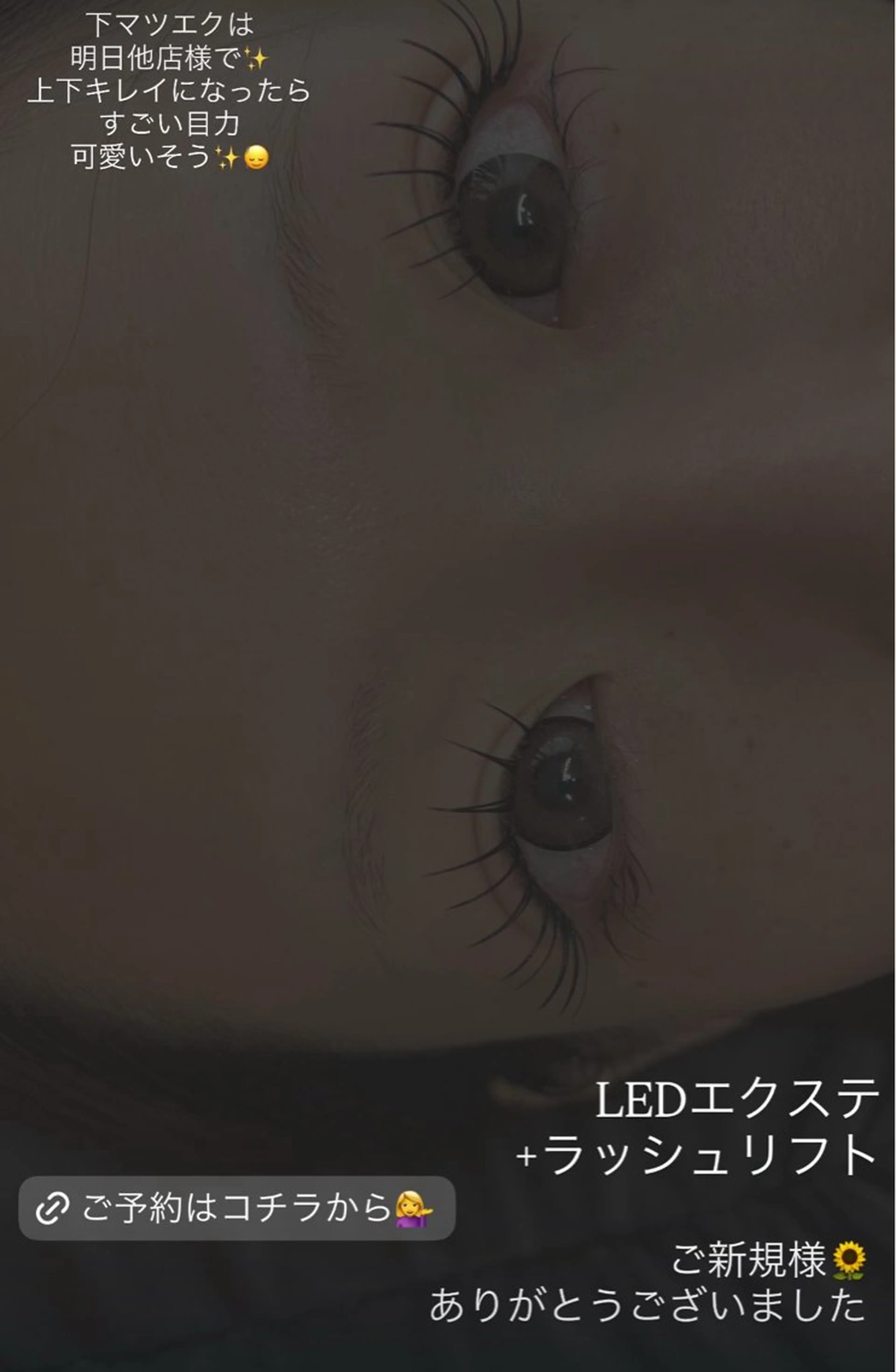 マツエク・マツパ マツエク Liberte eyelash所属・Liberte CHIAKIのマツエク・マツパデザイン