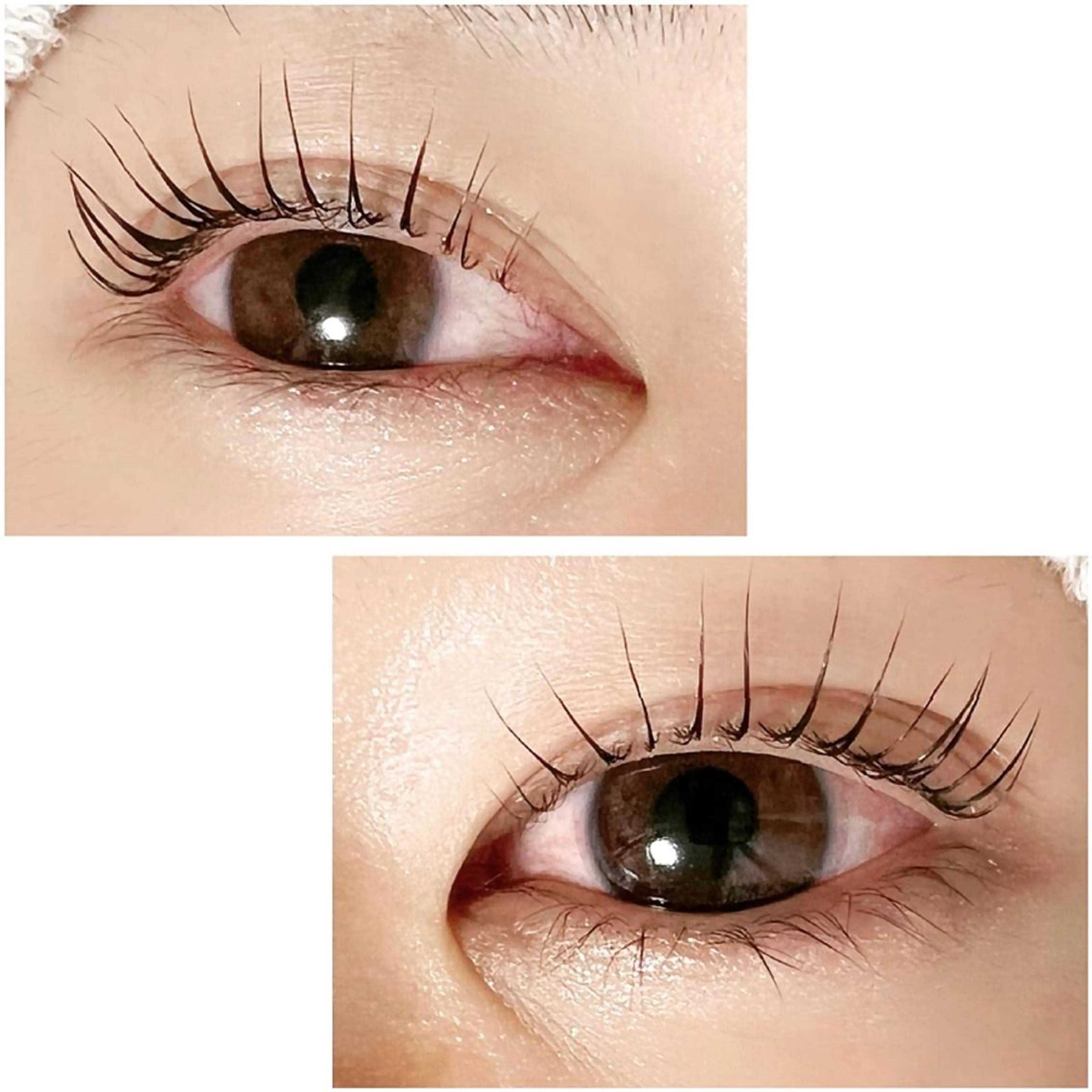 マツエク・マツパ Adorer(アドレ)所属・Adorer 🍀アドレ🍀のマツエク・マツパデザイン