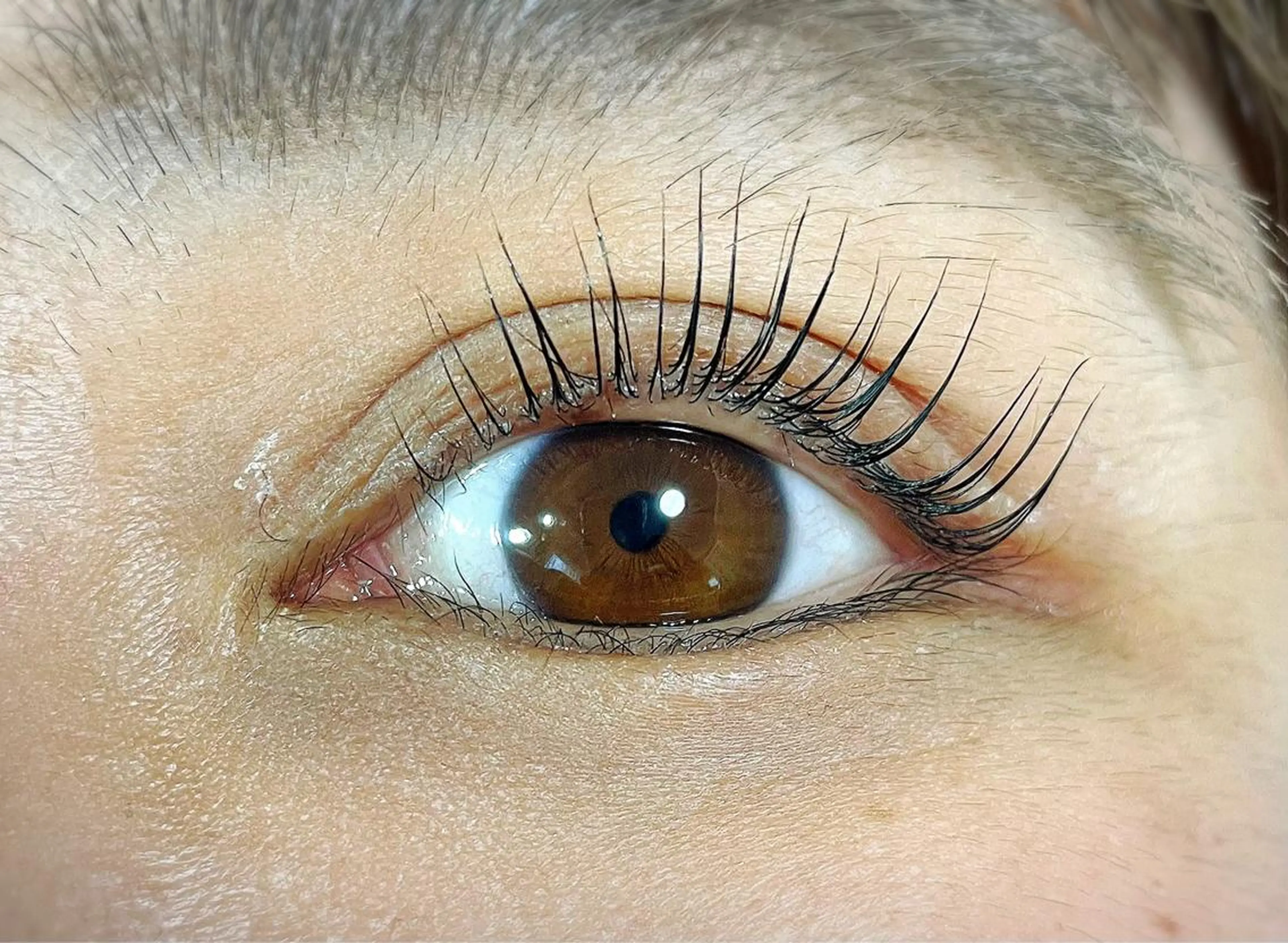 ⭐︎特別価格☆パリジェンヌラッシュリフトの写真