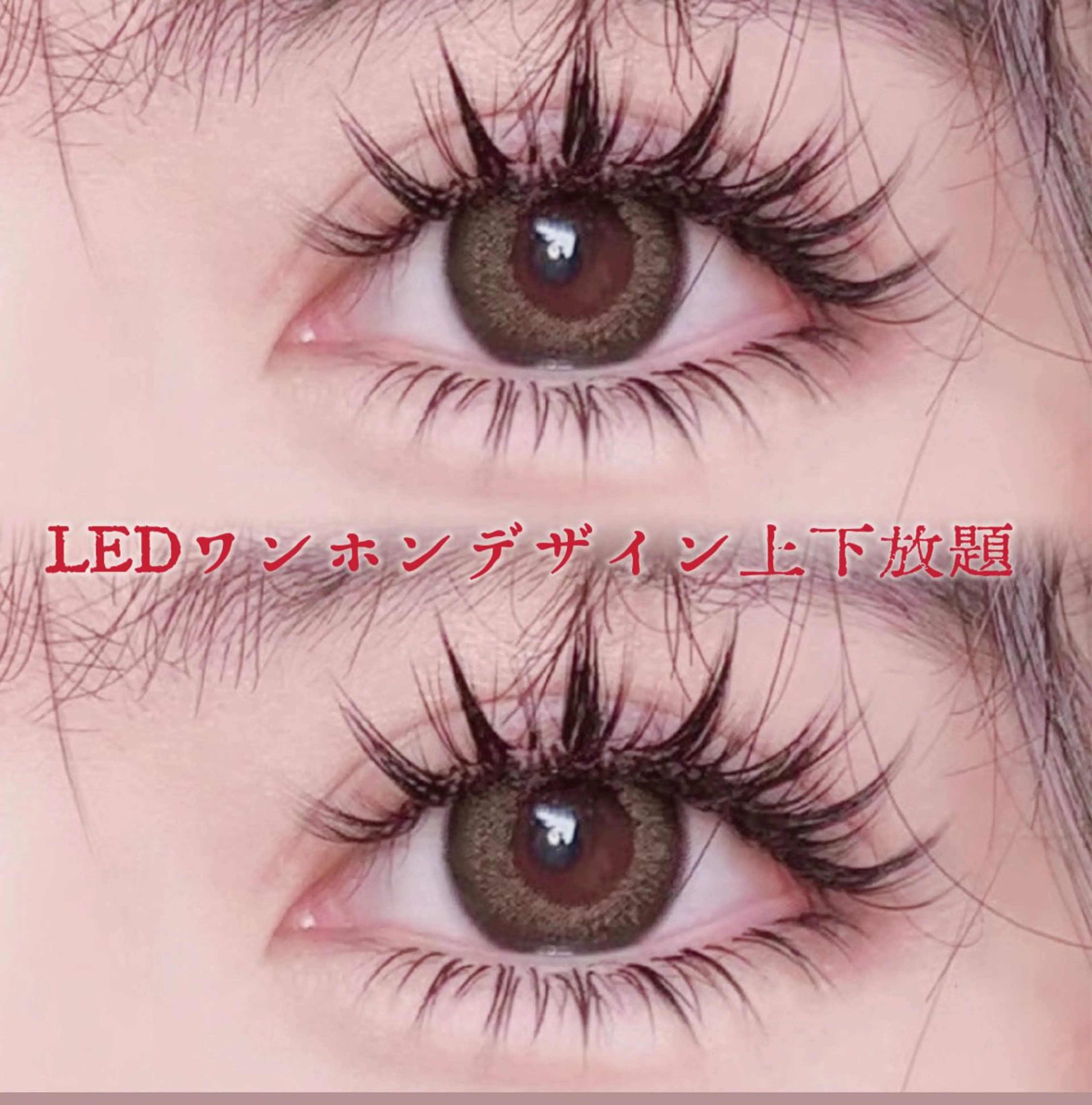 🤍ワンホンデザイン🤍上まつげのみ放題&アメリカギャル💡LED付き　オフ無料　二回目以降＋500円の写真