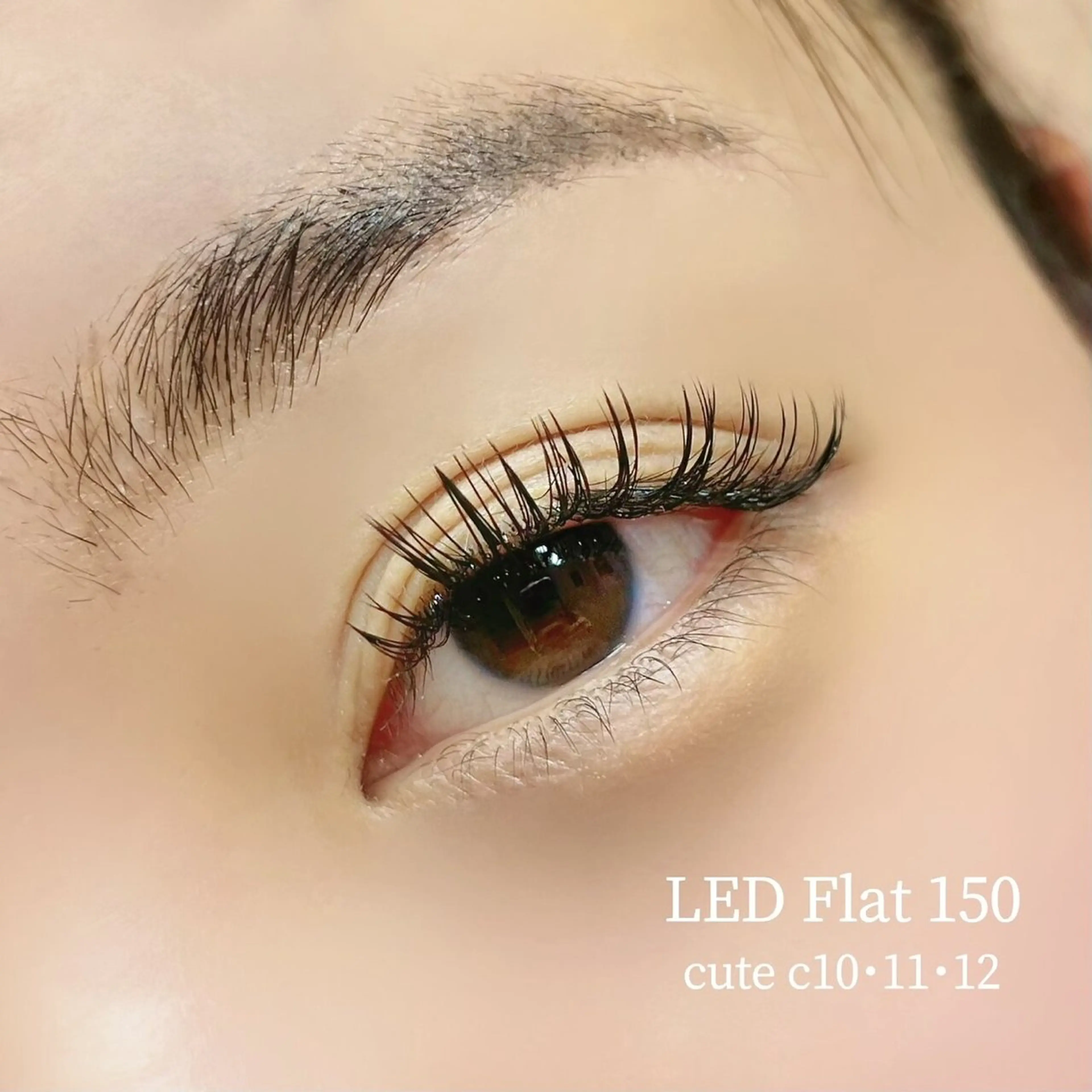 【圧倒的な持続力🫨♡】LEDマツエク🦋フラット150本¥8500→¥7500の写真