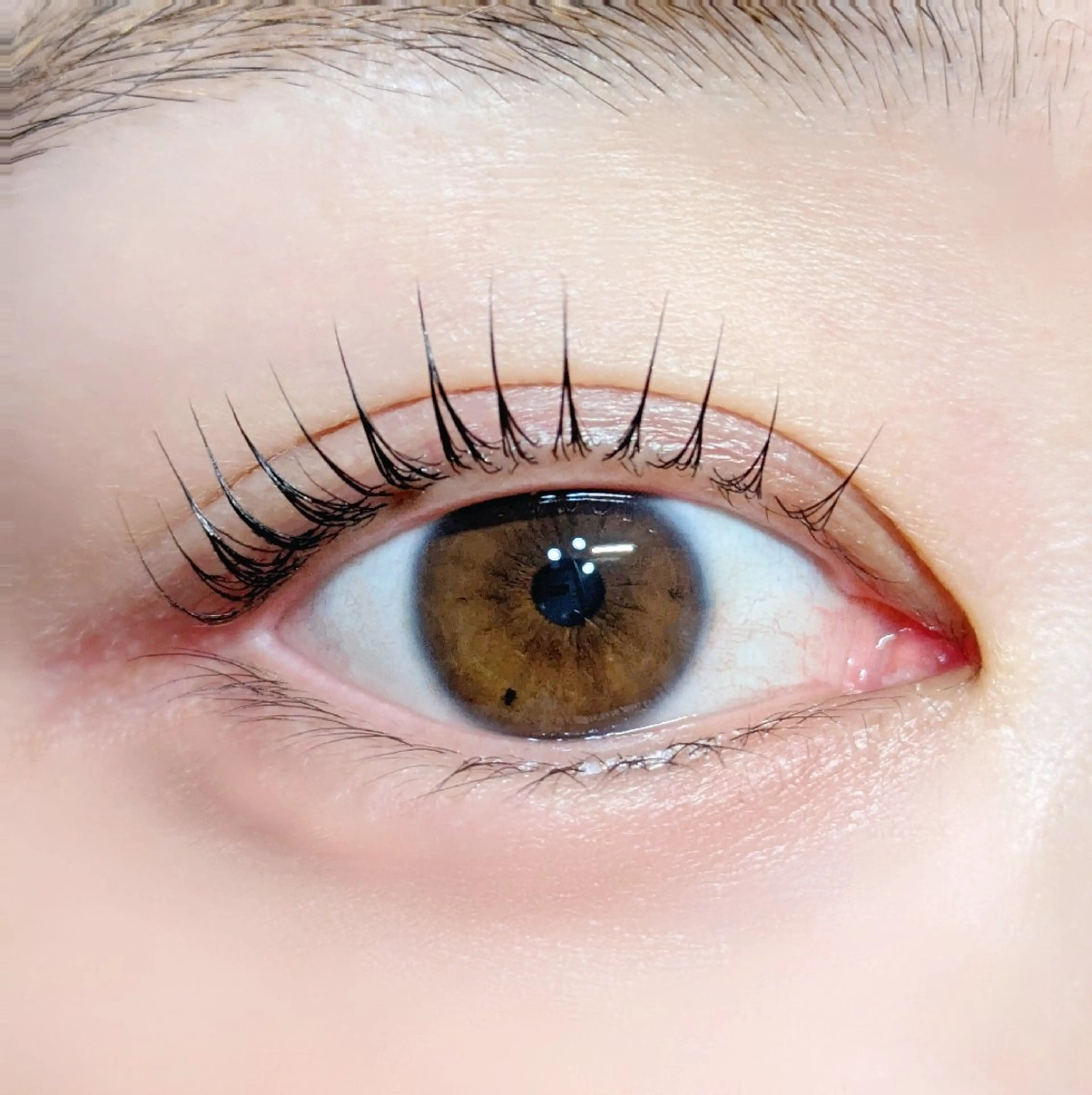 まつげパーマ(パリジェンヌラッシュリフト)の写真