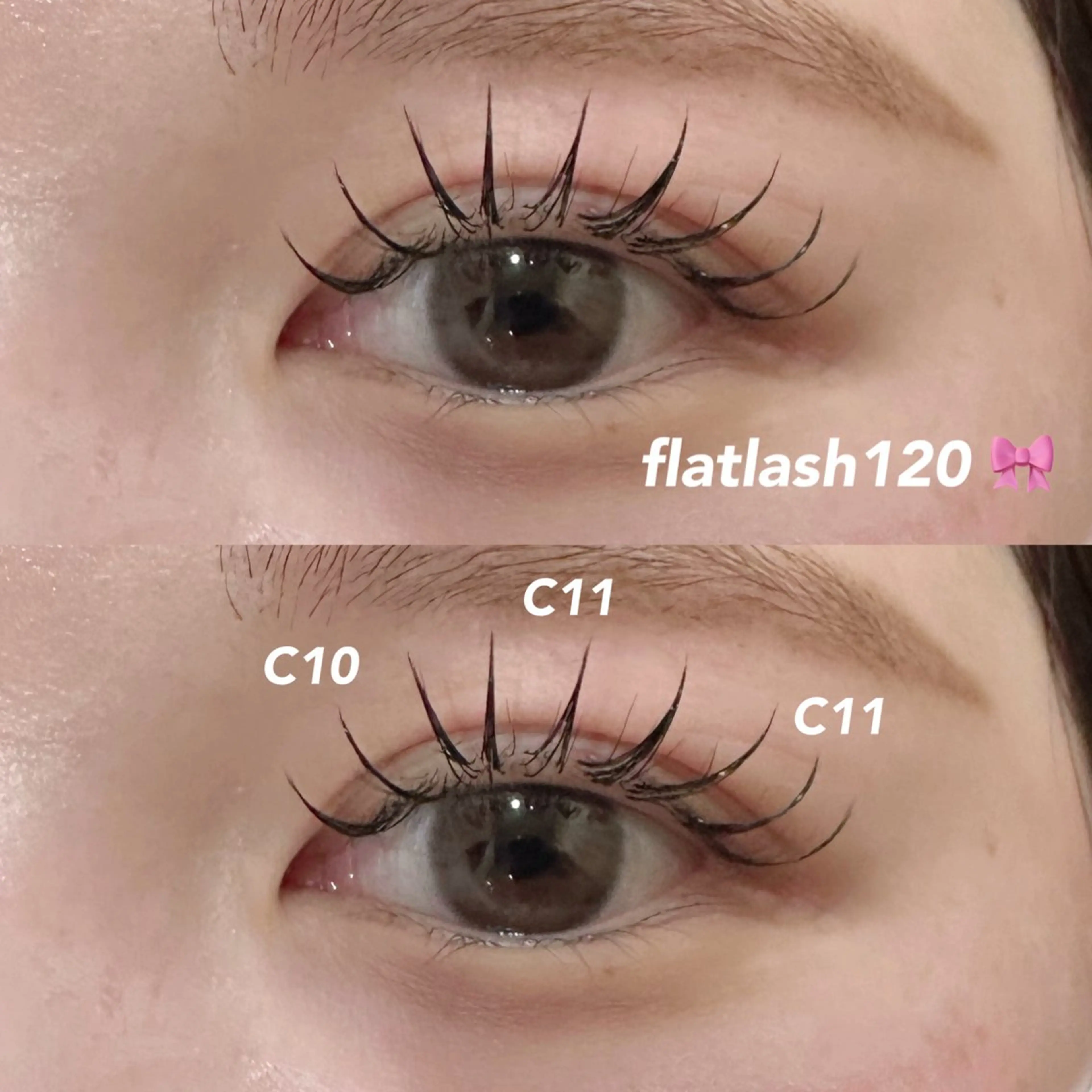 【初回限定🎀】パリエク120本の写真