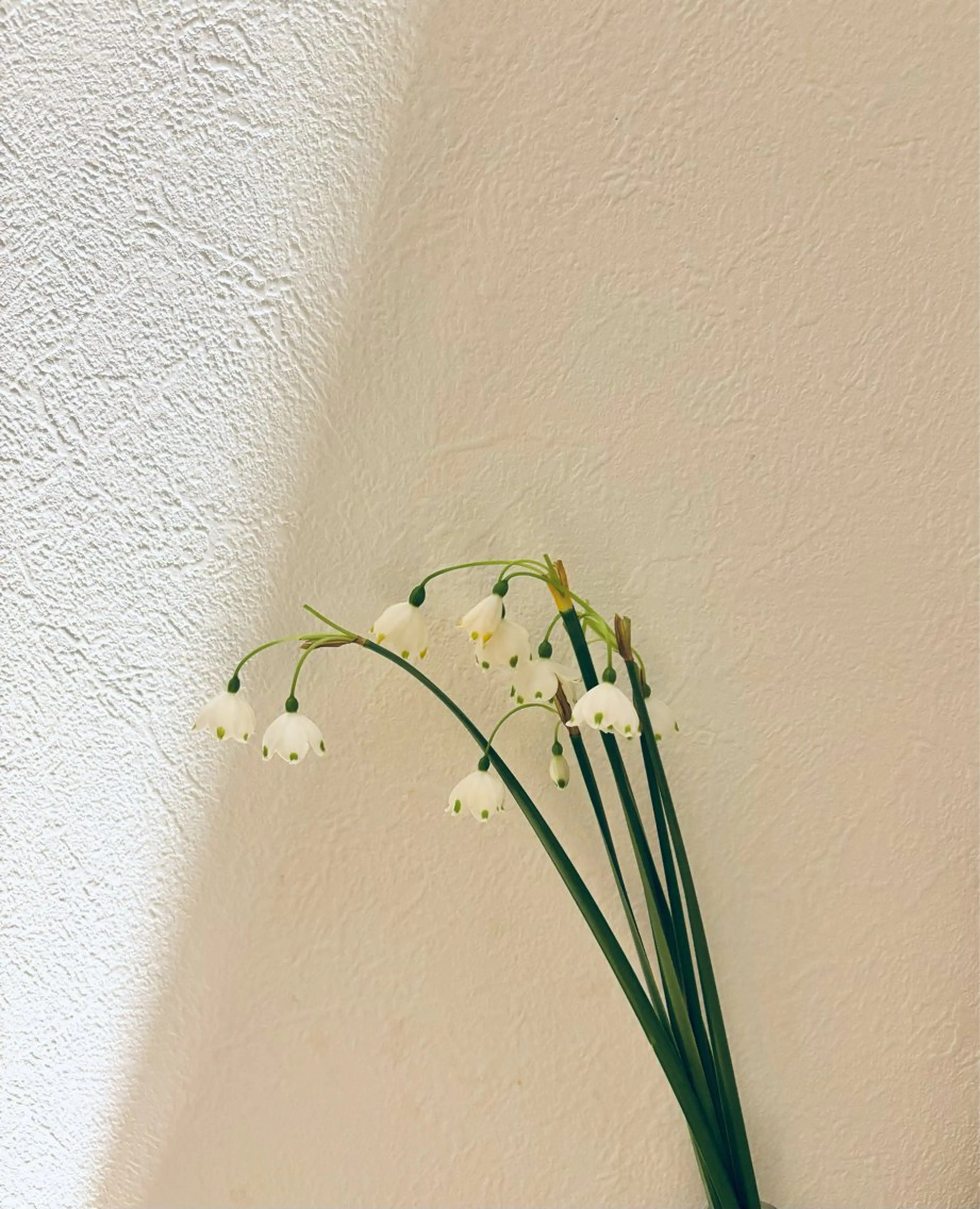 エステ リラク basico  のエステ・リラクイメージ