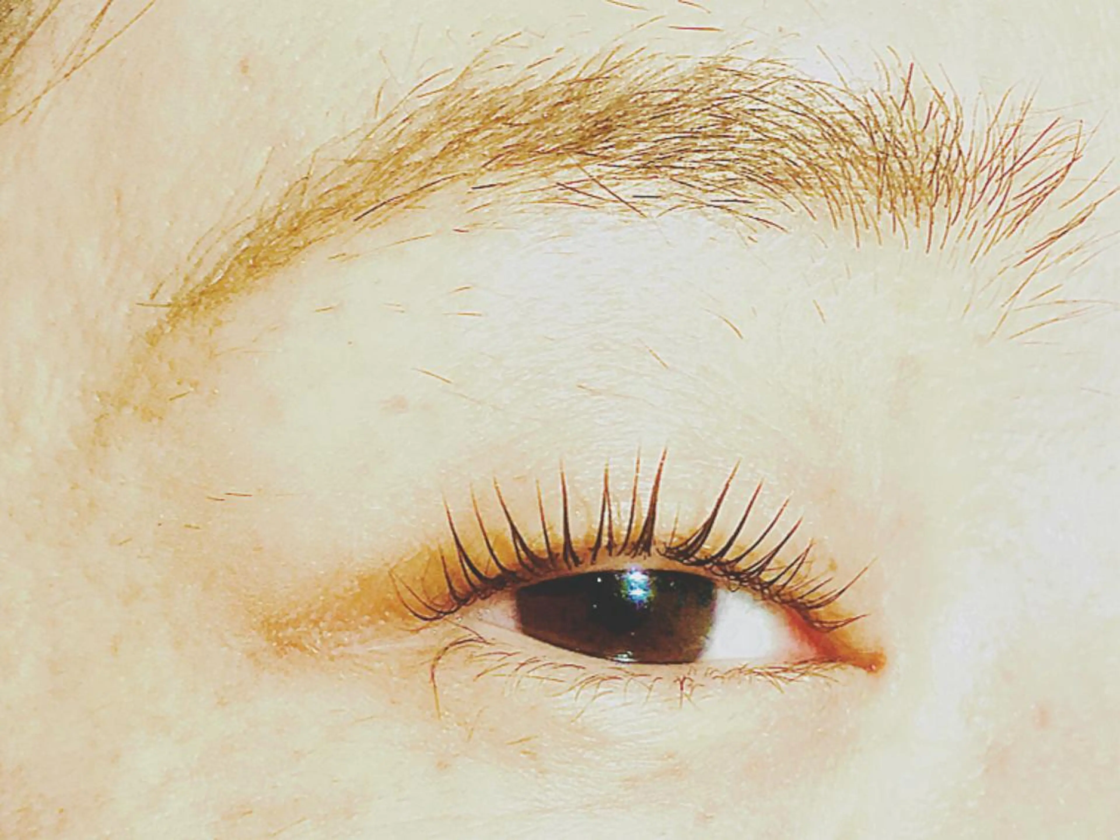 パーマ 和田 真弥の眉毛・アイブロウイメージ