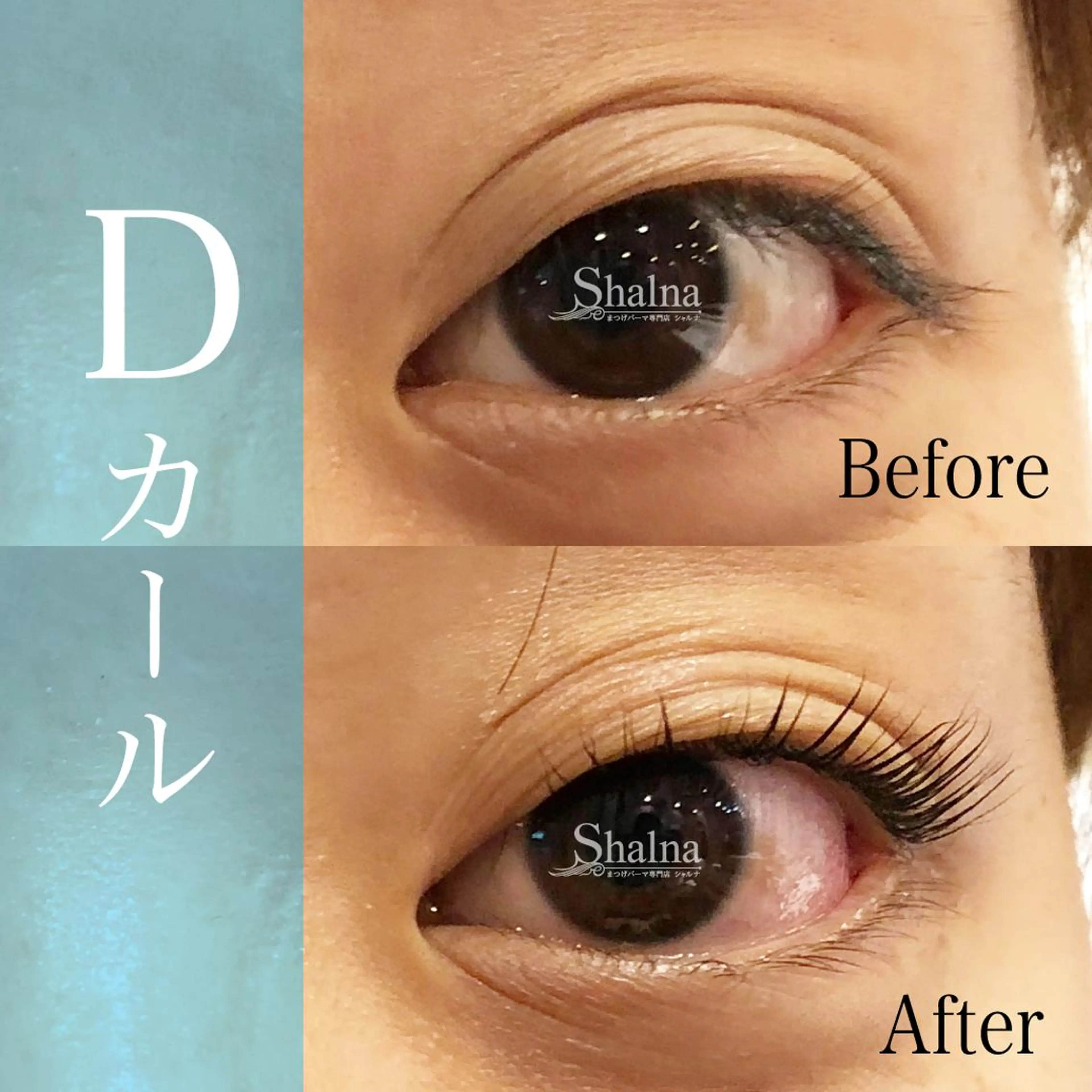マツエク・マツパ まつげパーマ専門店 シャルナ　船橋店のマツエク・マツパデザイン