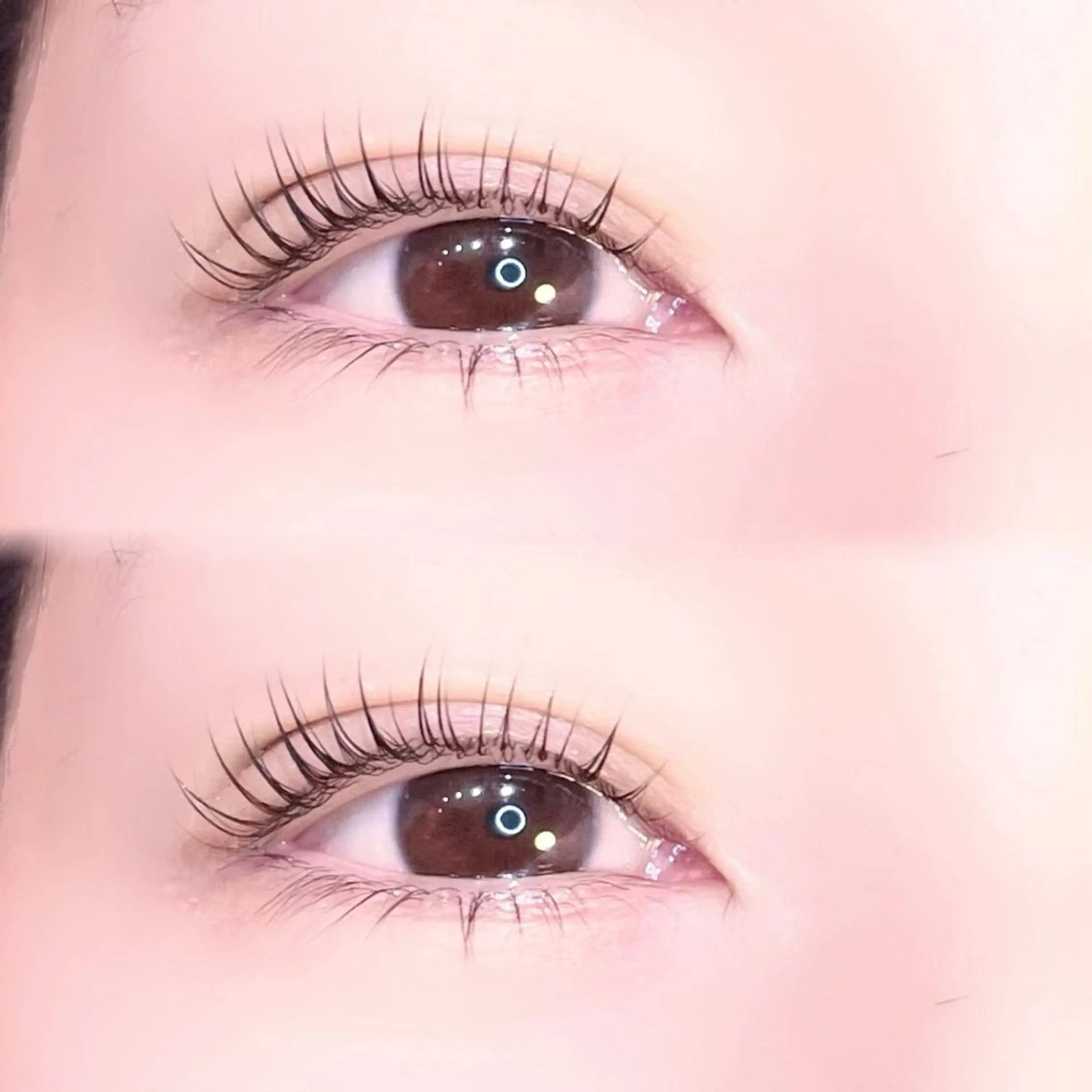 🕊️パリジェンヌラッシュリフト上下🎟️コーティング付⭐︎新規¥8100／再来¥8600の写真