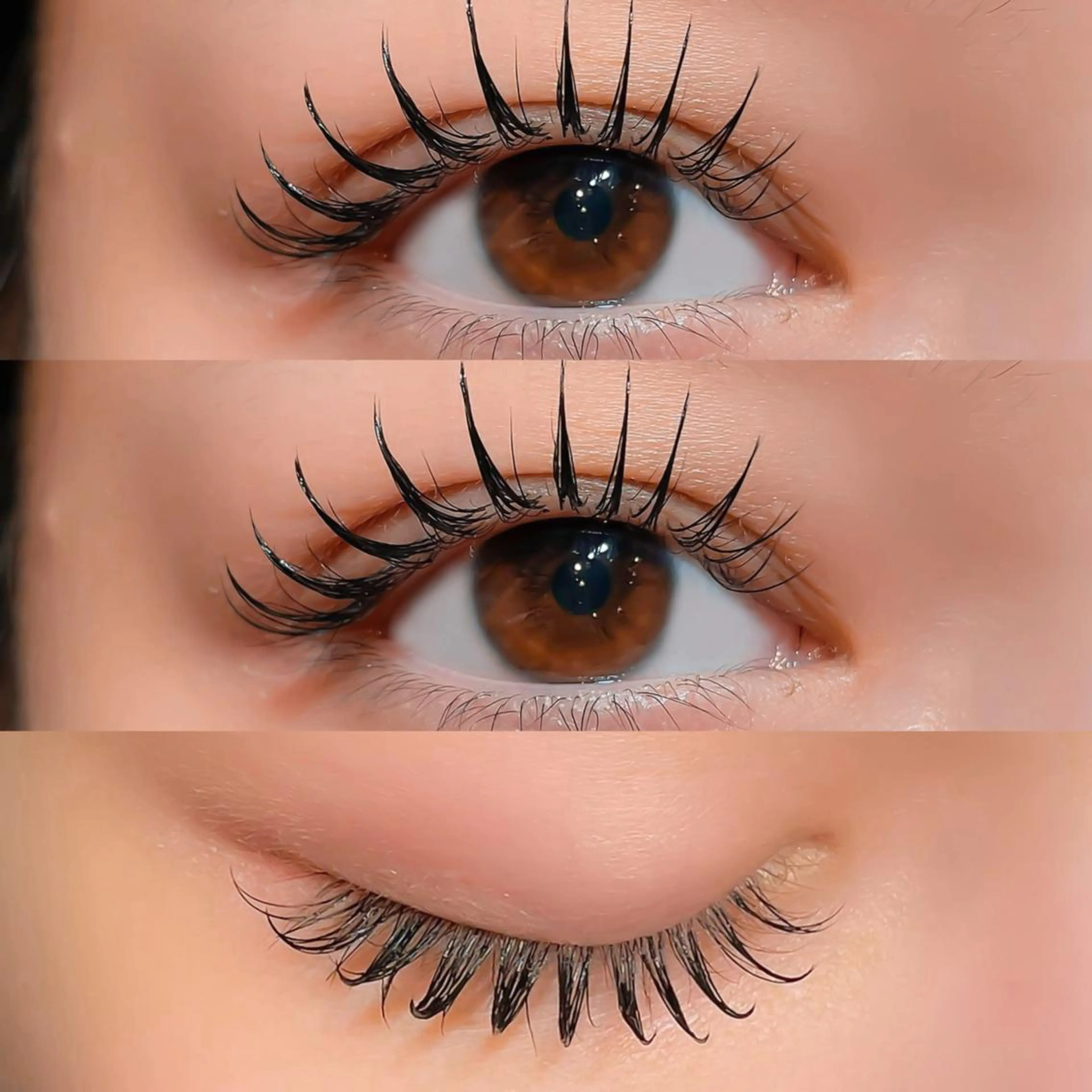 LED🌟フラットラッシュ💖つけ放題¥7500の写真