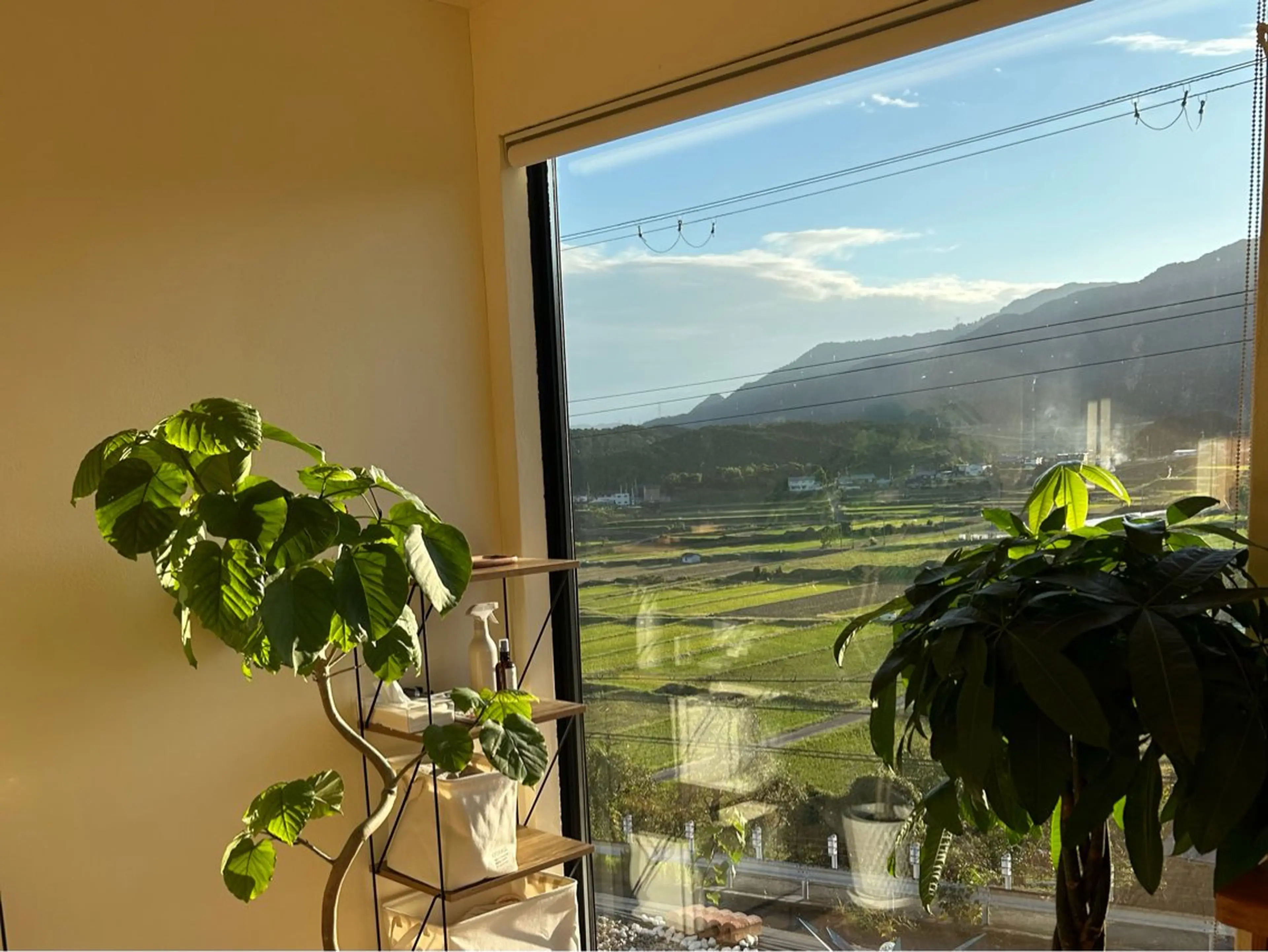 arc nail salon所属・arc nail KARINのネイルデザイン