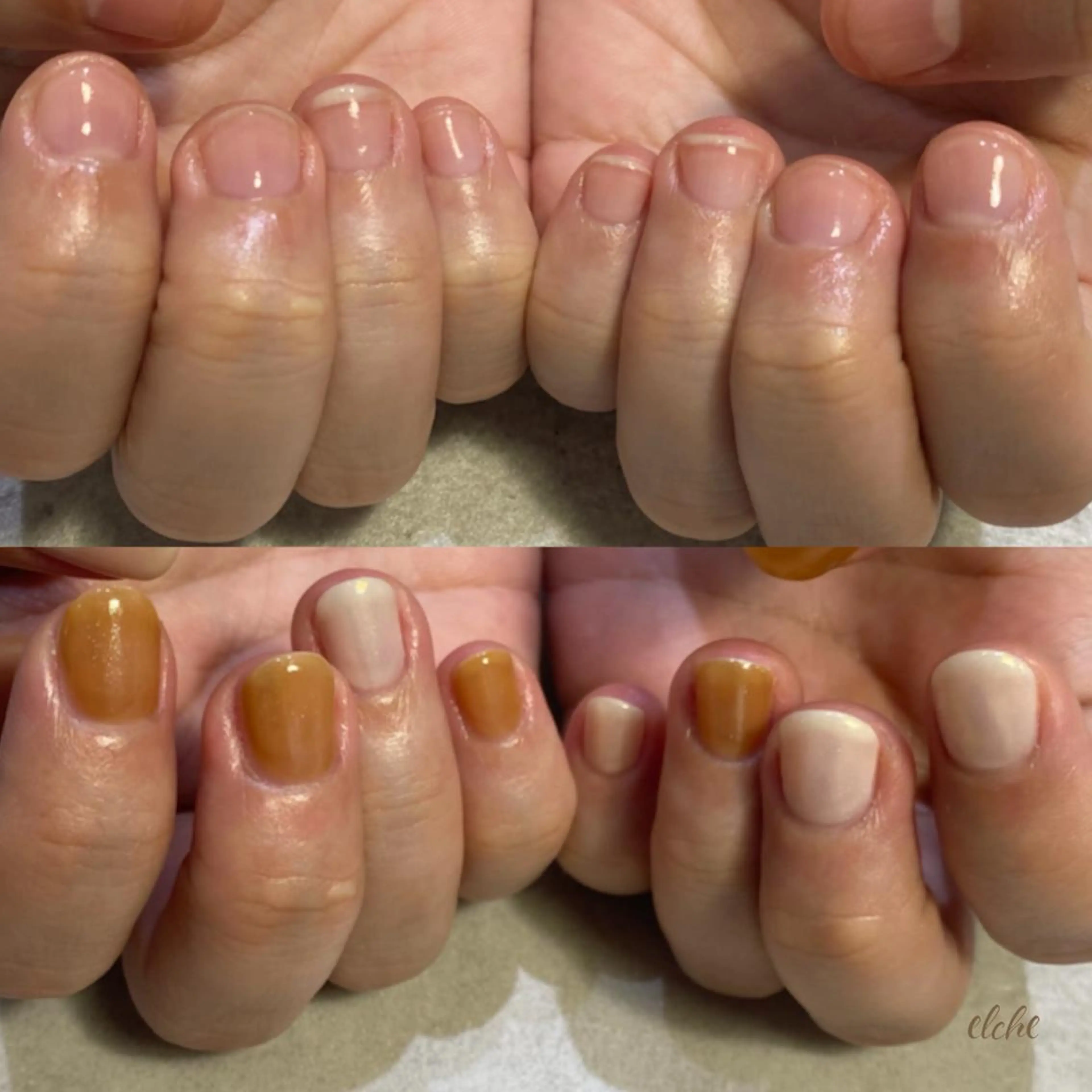 ネイル Rio 𓍼のネイルデザイン