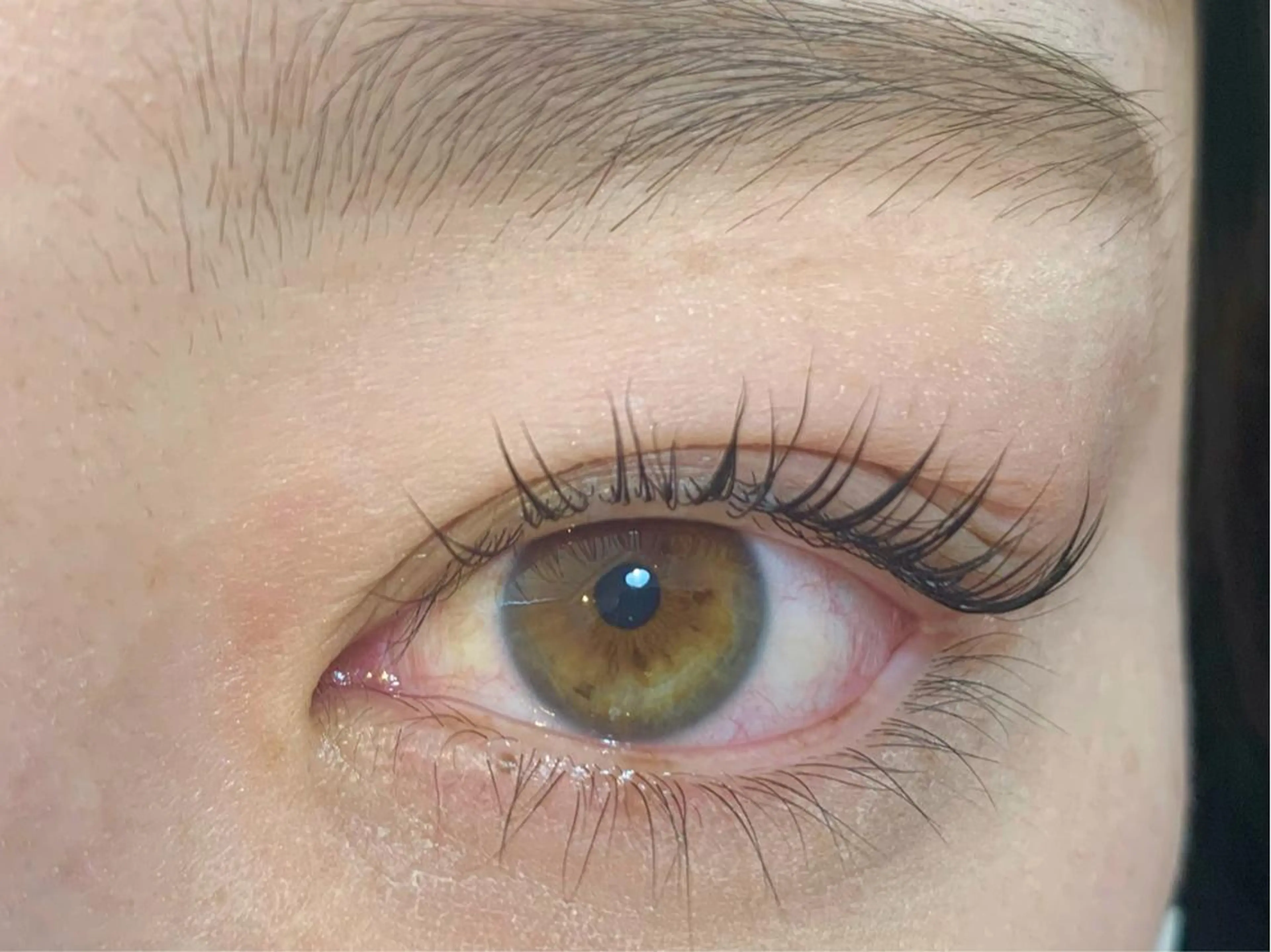 マツエク・マツパ まつげパーマ マツパ mist AYA 🏝️eyelashのマツエク・マツパデザイン