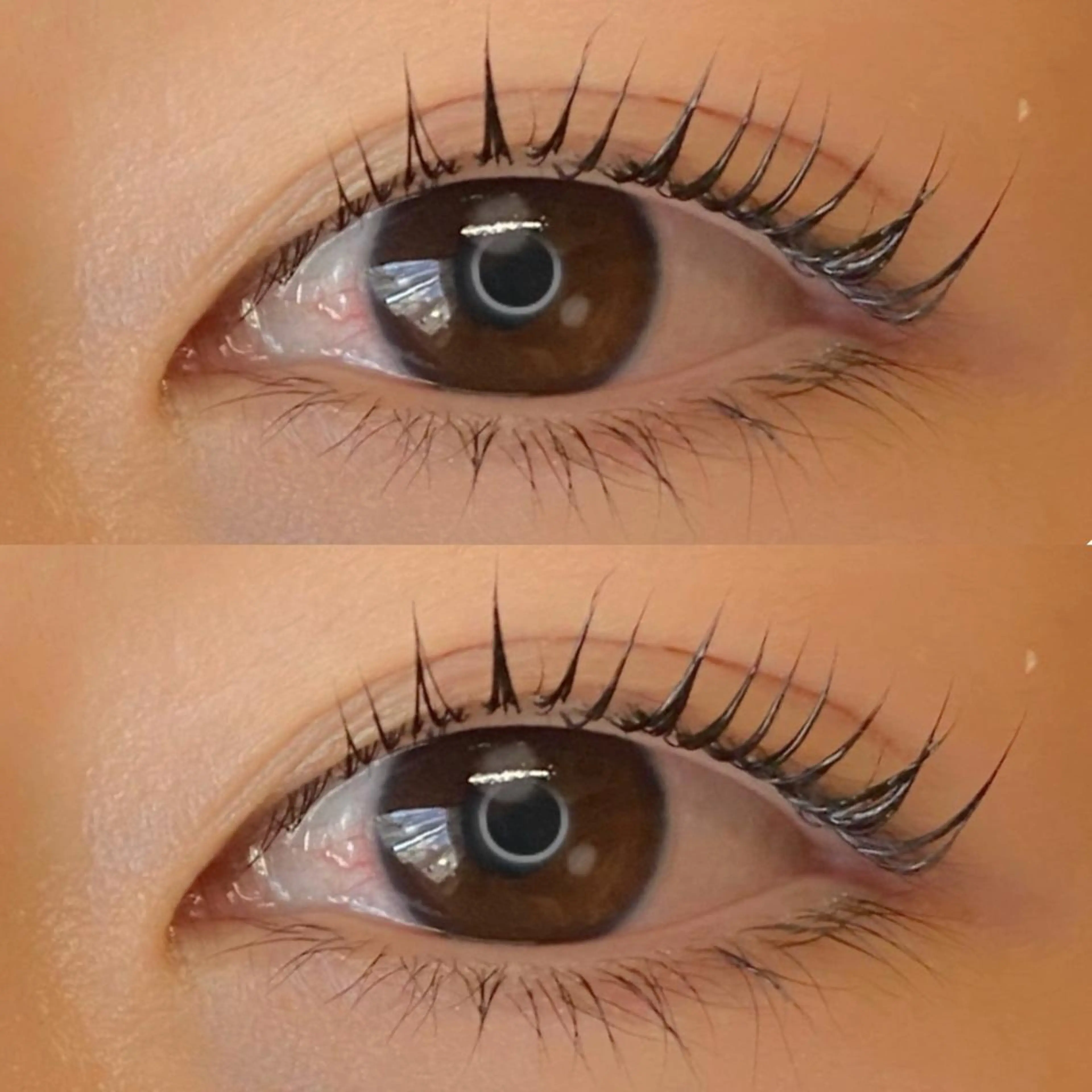 🧚🏼‍♀️美容コーティング液丸々1本付❣️パリジェンヌorラッシュリフト👀の写真