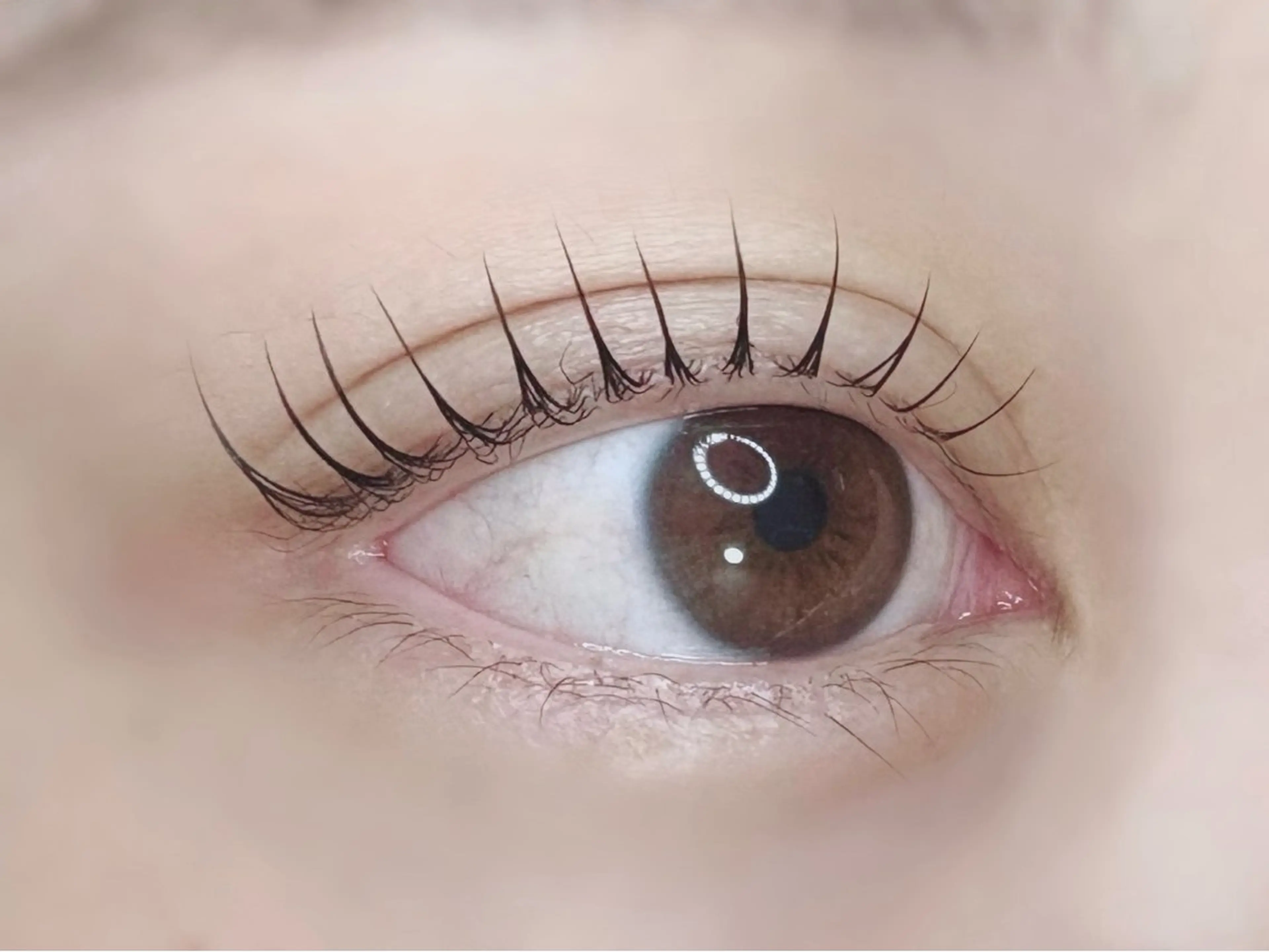 マツエク・マツパ Re:more所属・Re:more リモアのマツエク・マツパデザイン