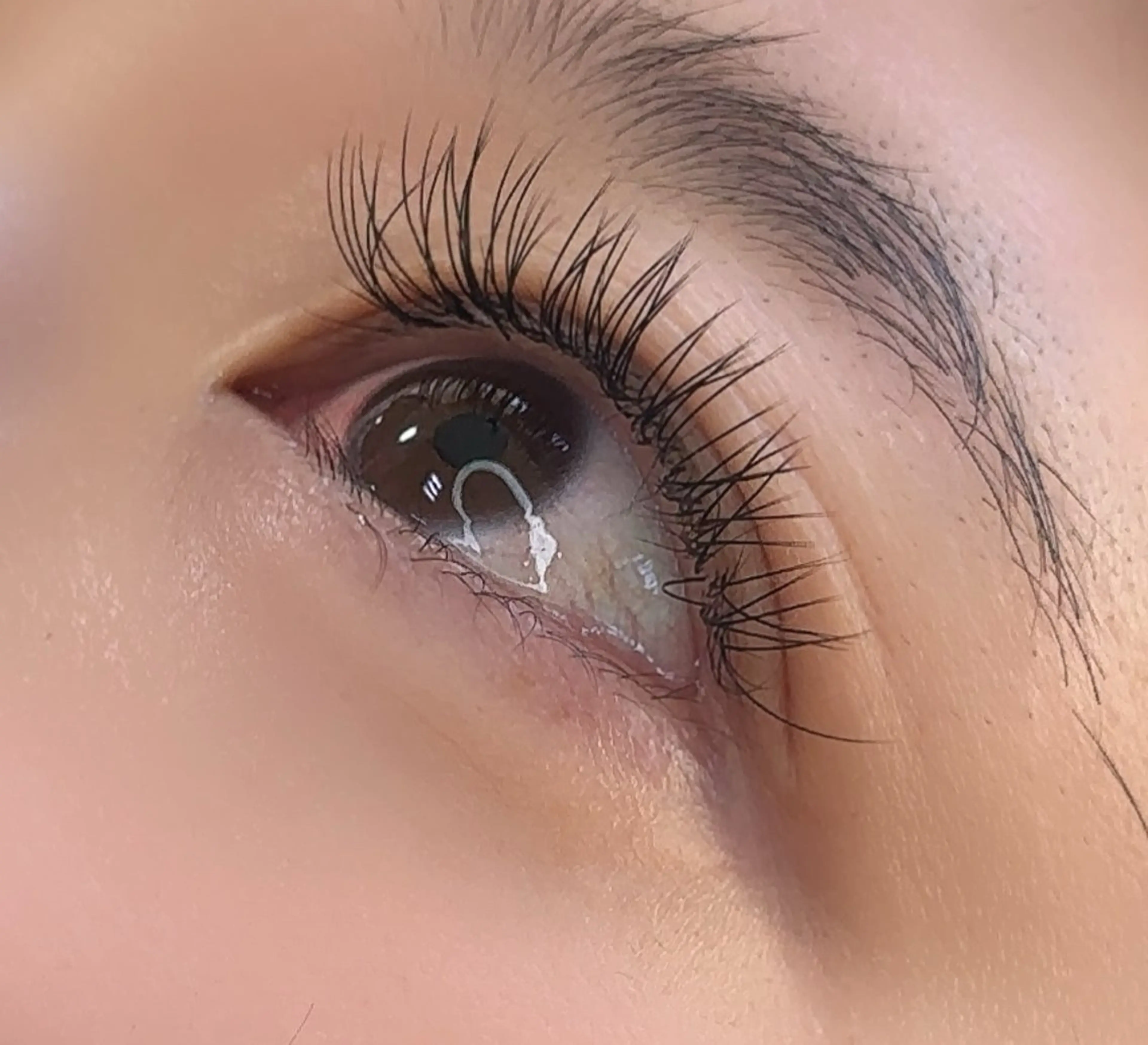 💟ミニモ限定💟フラットラッシュ👀60分つけ放題🧡の写真