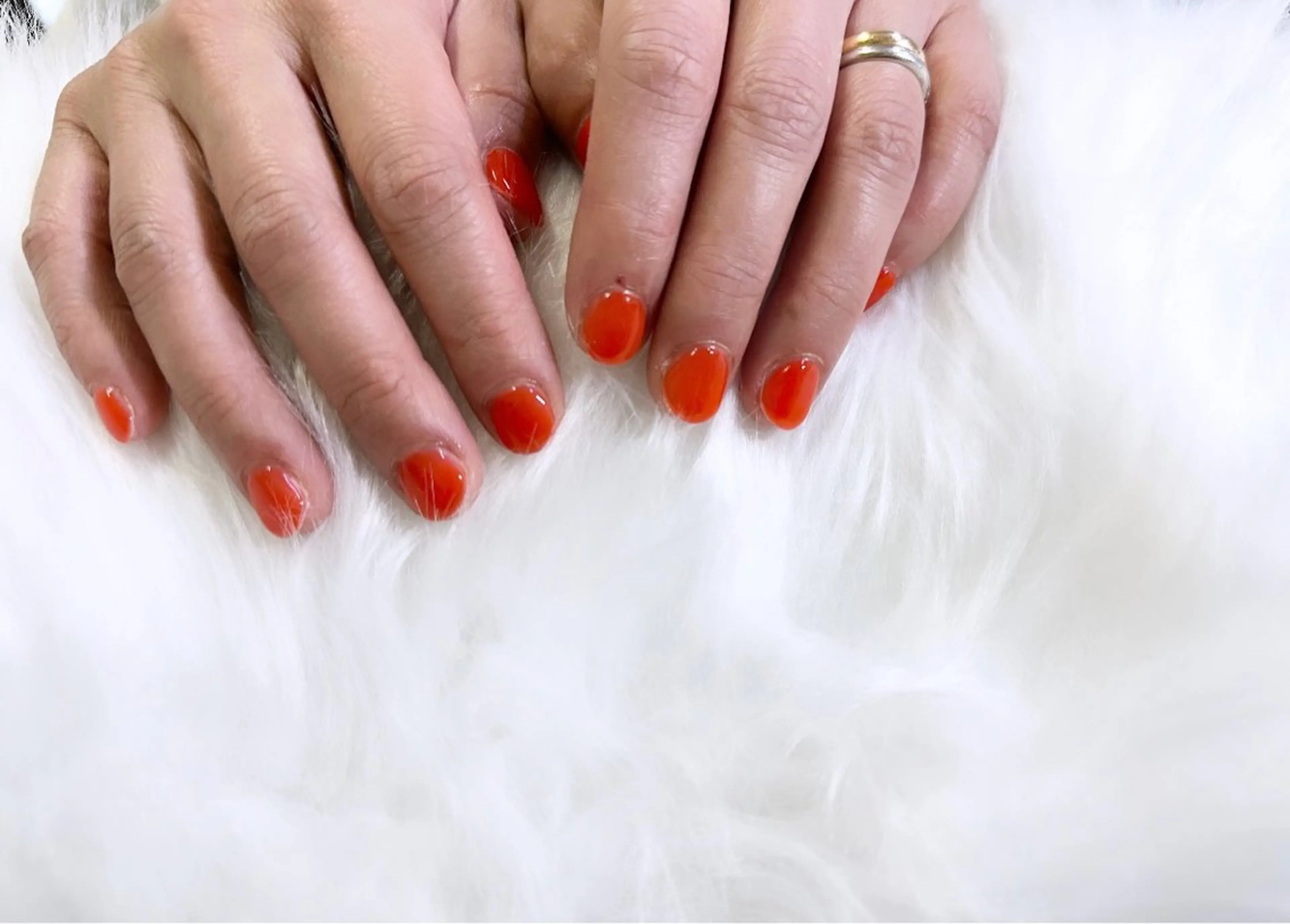 💜ワンカラー(オフ込み)🩷の写真