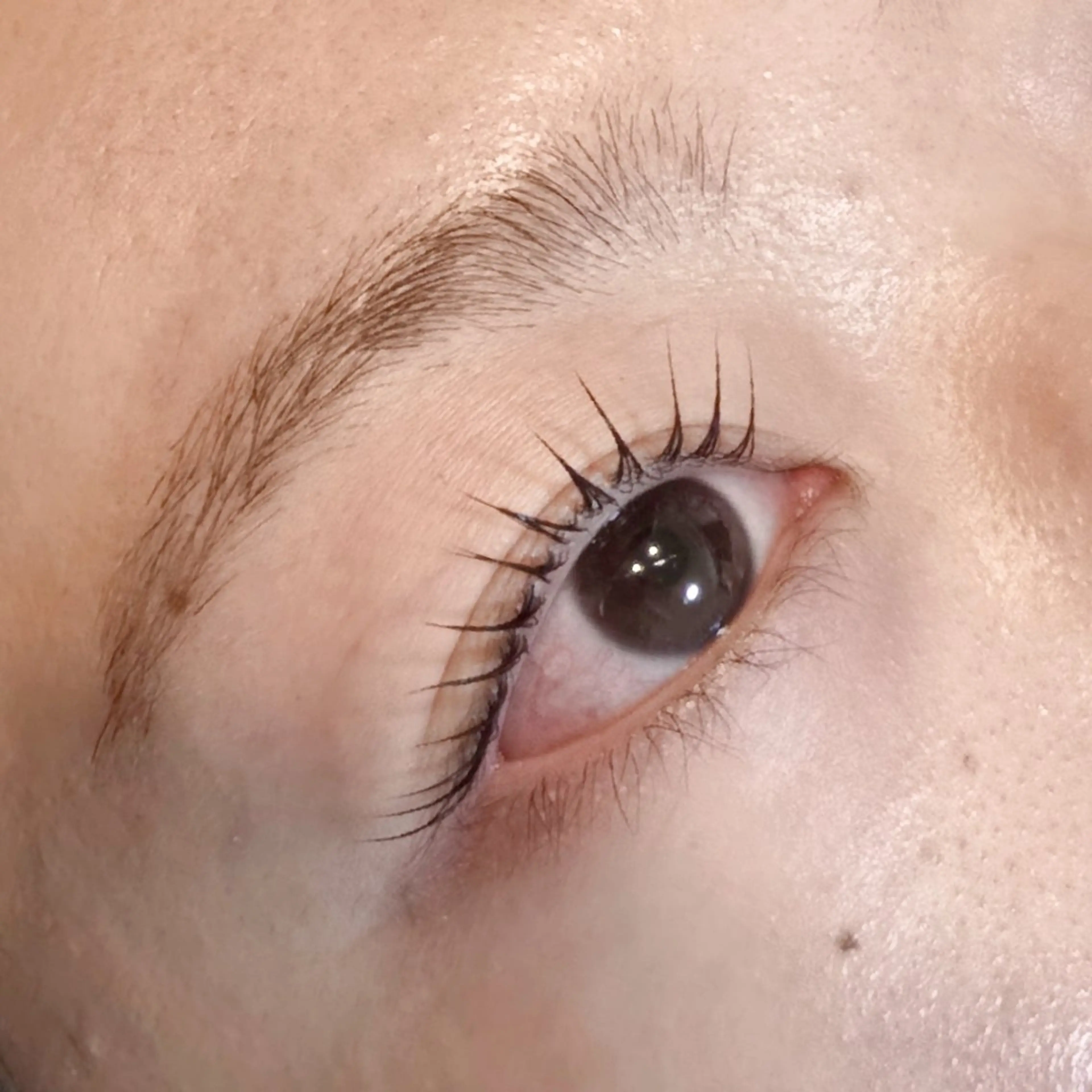 マツエク・マツパ マツパ マリーテレジア NAGATSUNAのマツエク・マツパデザイン