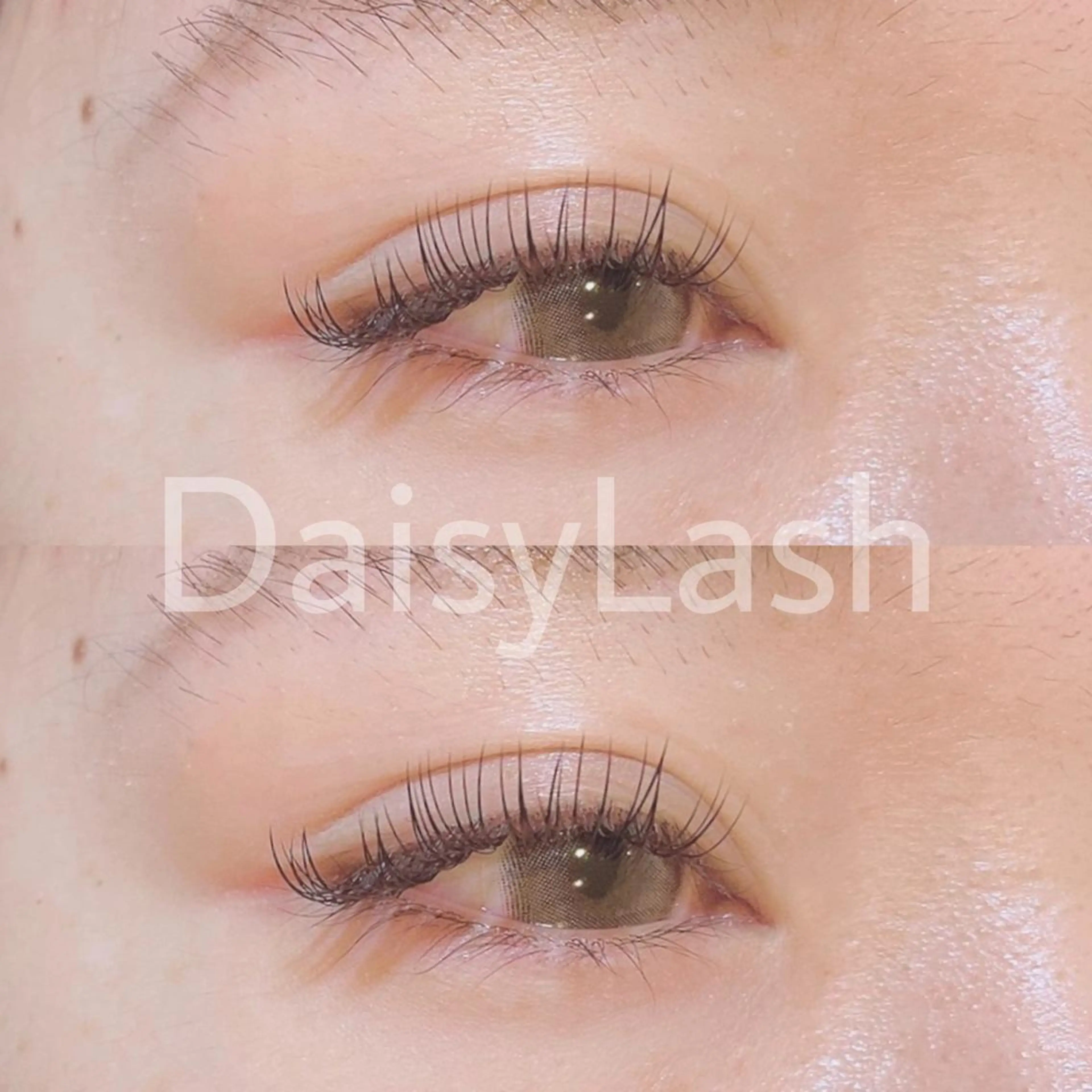 マツエク・マツパ DaisyLash 京橋店のマツエク・マツパデザイン
