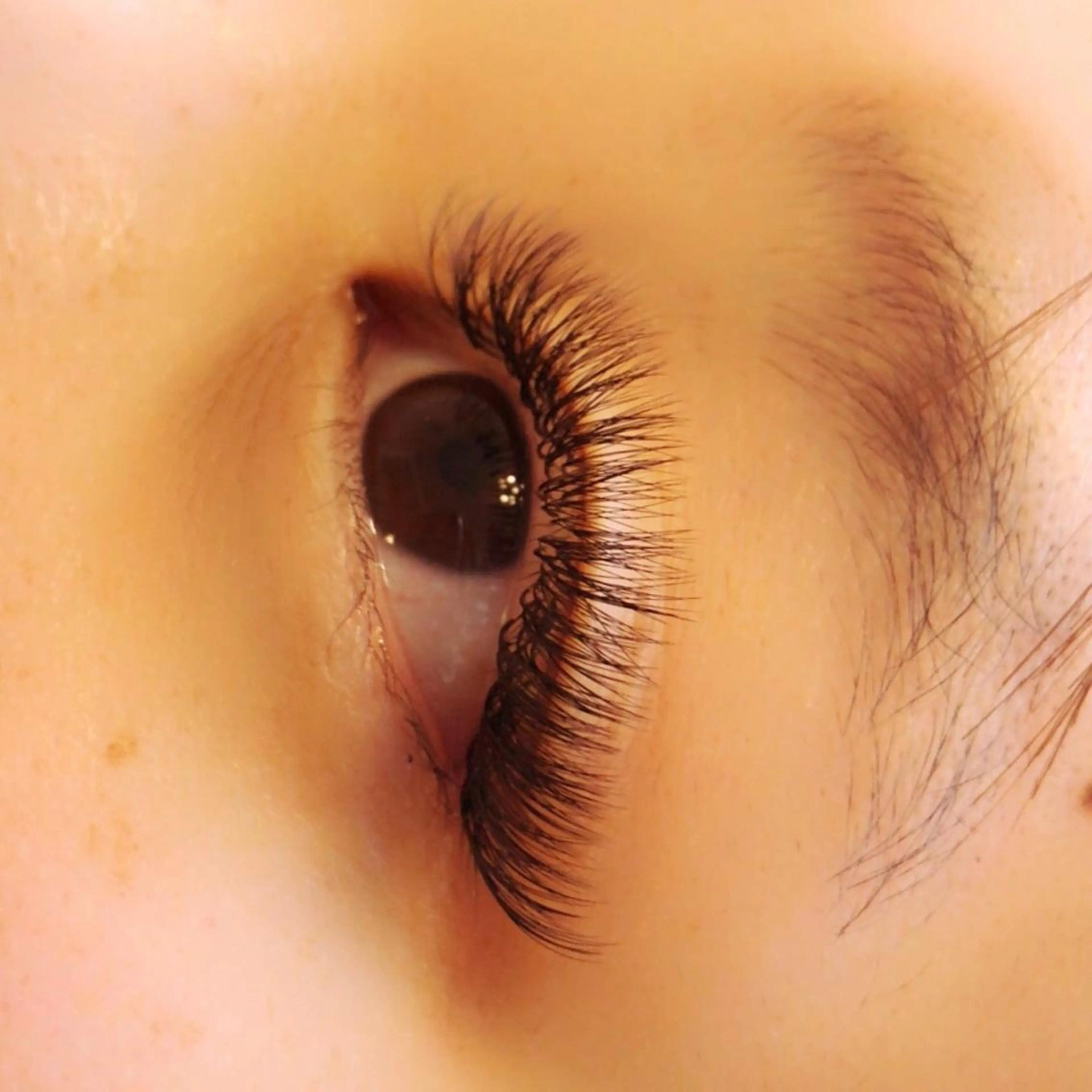 ミディアム カラー パーマ メンズ キッズ ネイル マツエク・マツパ マツエク 地域 No. 1店 nail&eyelash Liliana所属・ベテランのお店です 🍓.Lilianaのマツエク・マツパデザイン