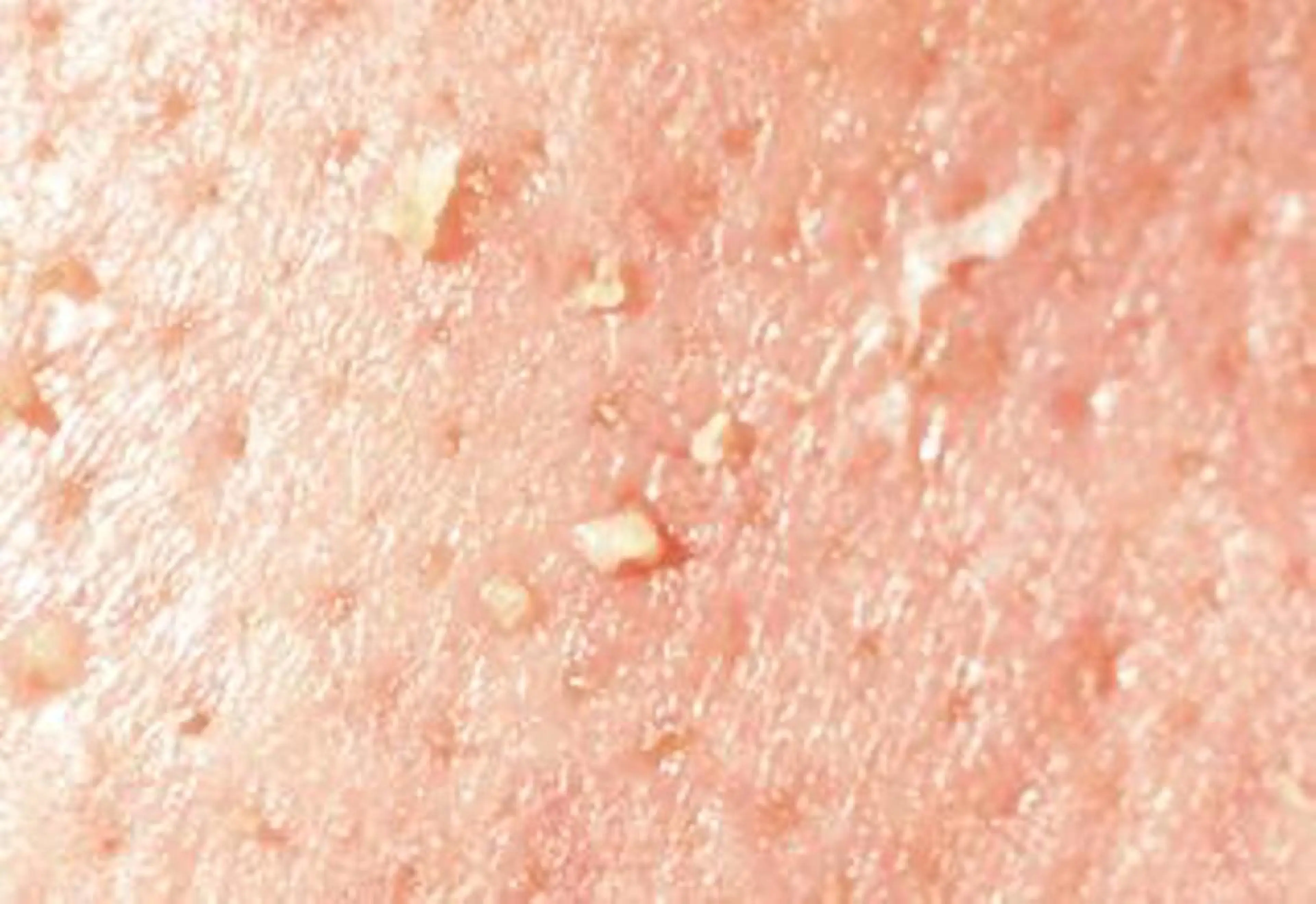 エステ オーガニック エステ サロンフィオーレの眉毛・アイブロウイメージ