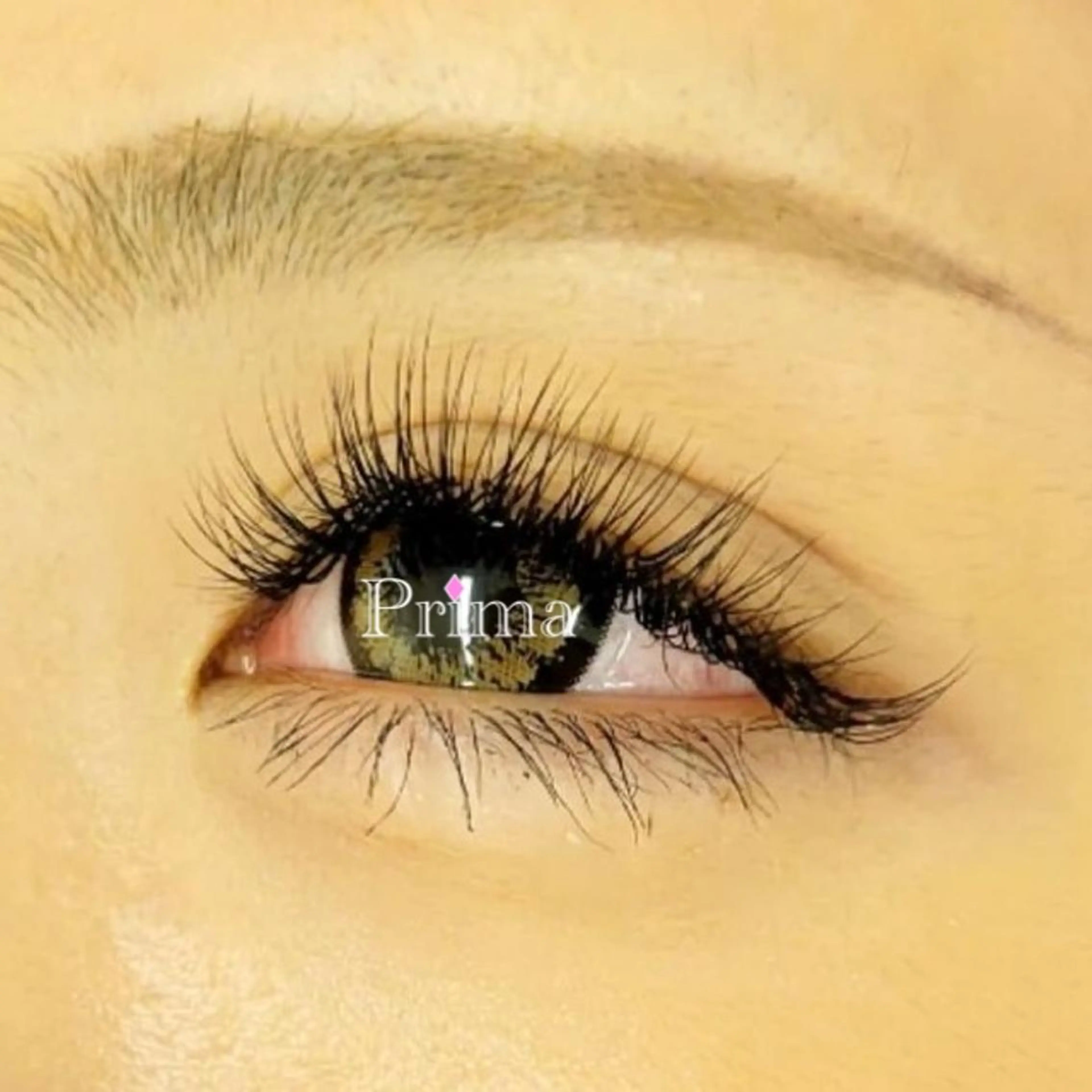 マツエク・マツパ Prima💜 アイラッシュ💜のマツエク・マツパデザイン