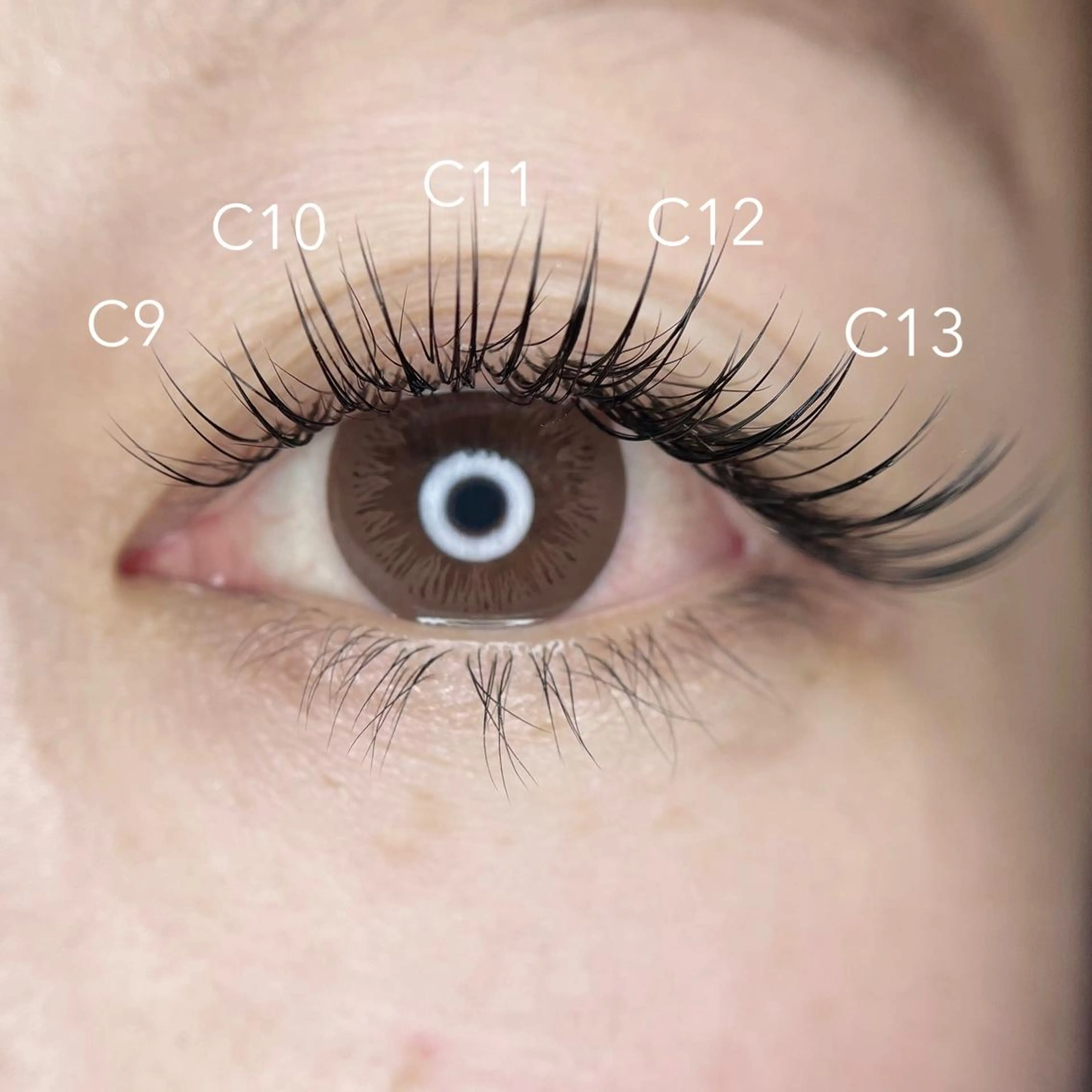 【人気💓No.２】オフ込みフラットマットラッシュ120本の写真