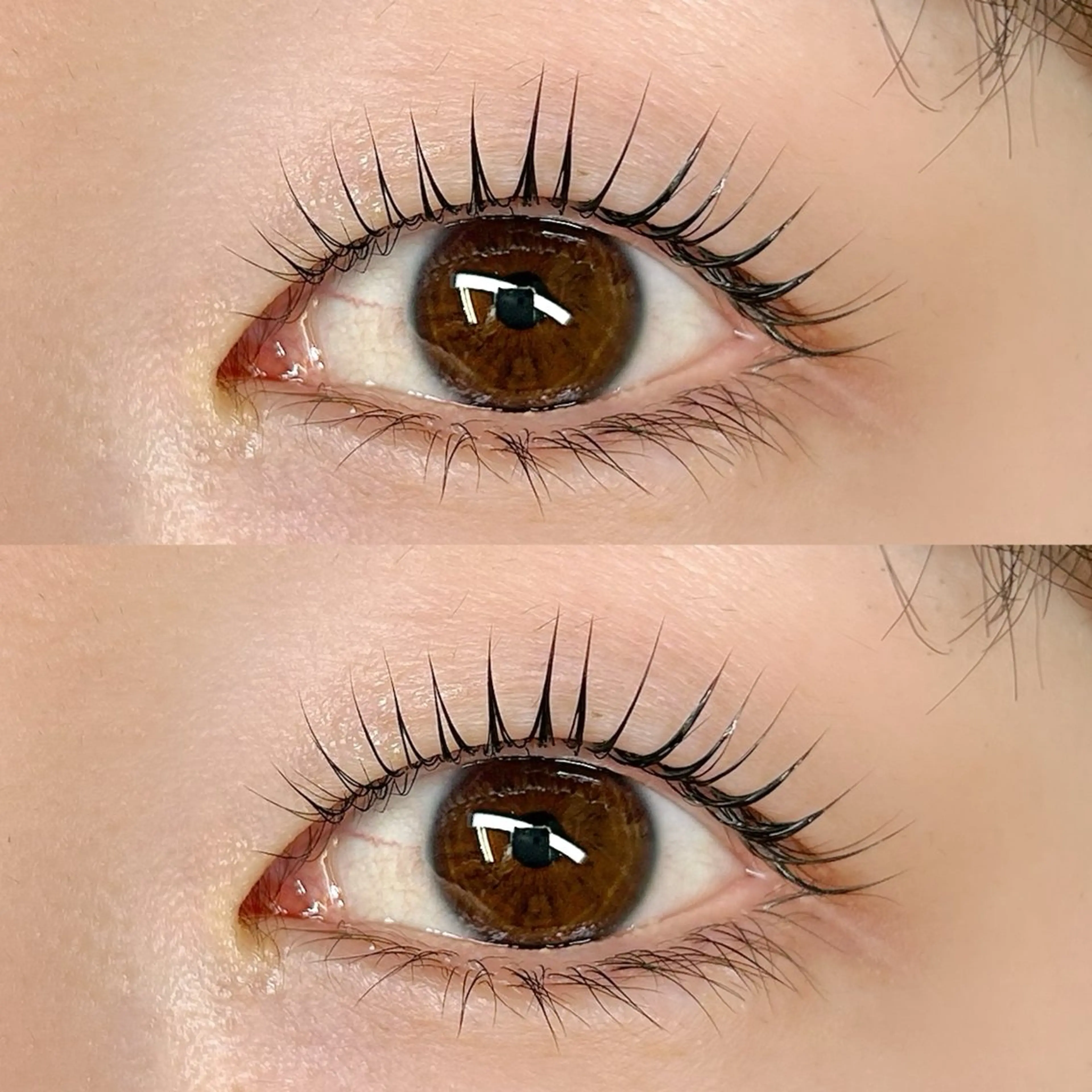 マツエク・マツパ ani 【アニ】所属・ani 【アニ】 恵比寿のマツエク・マツパデザイン