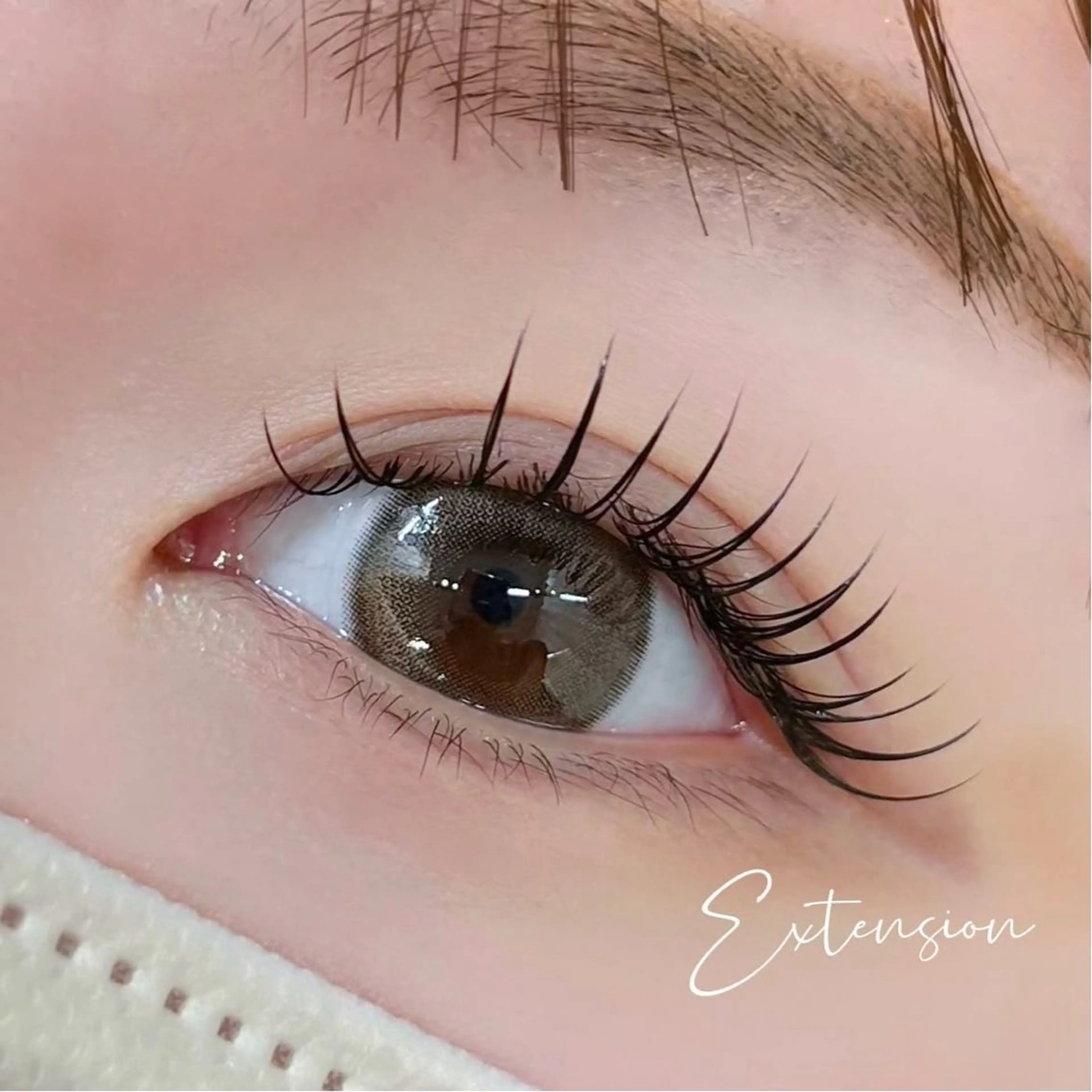 【新規】フラットラッシュ120本の写真